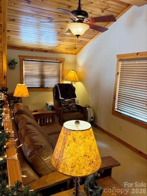 399 Bent Tree Road — Maggie Valley
