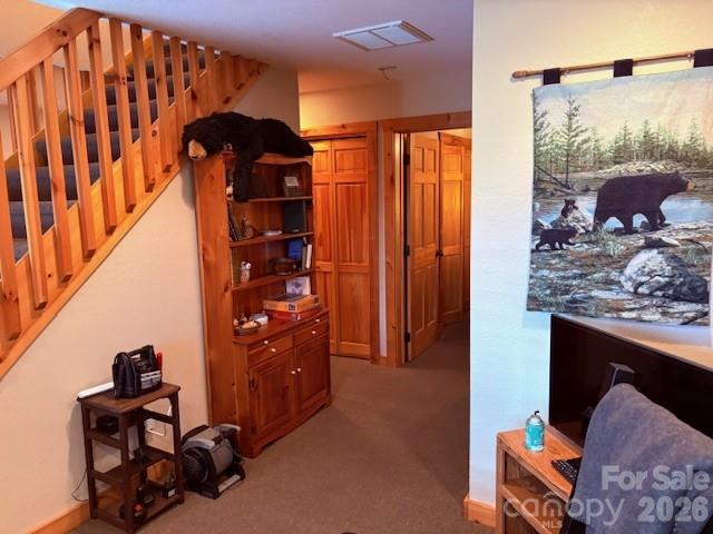 399 Bent Tree Road — Maggie Valley