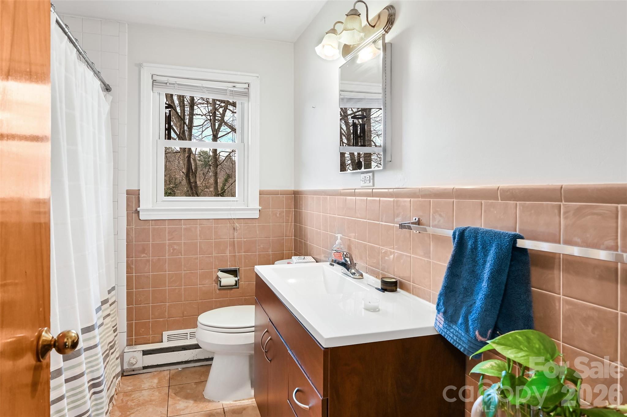 297 White Pine Drive — Asheville