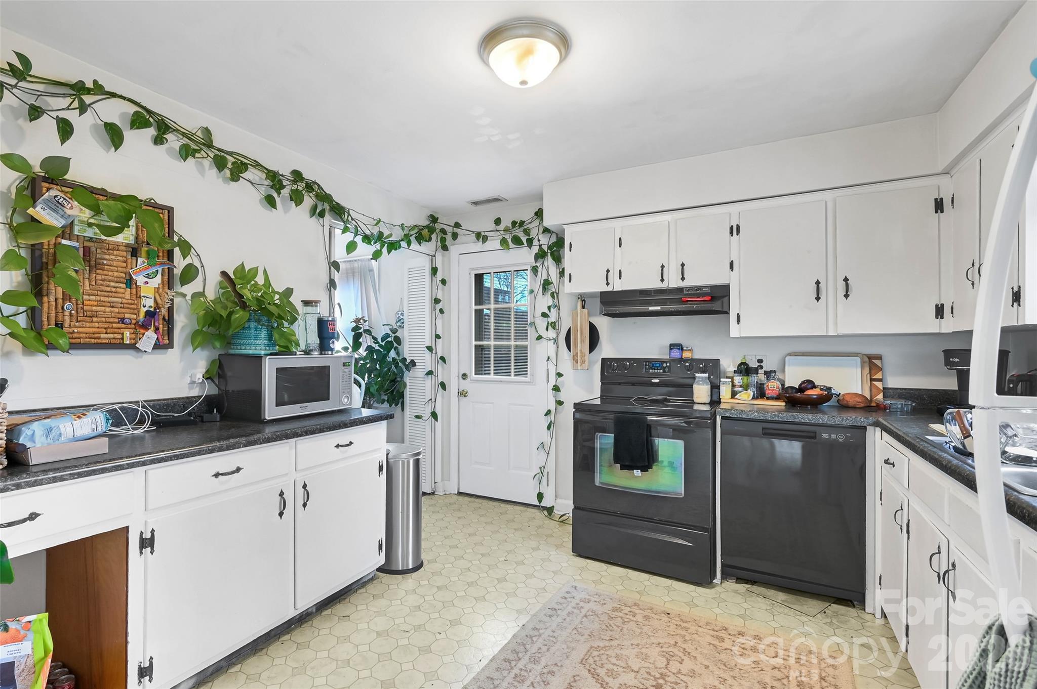 297 White Pine Drive — Asheville