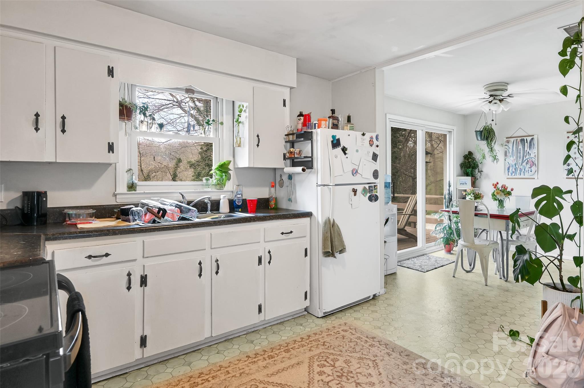 297 White Pine Drive — Asheville