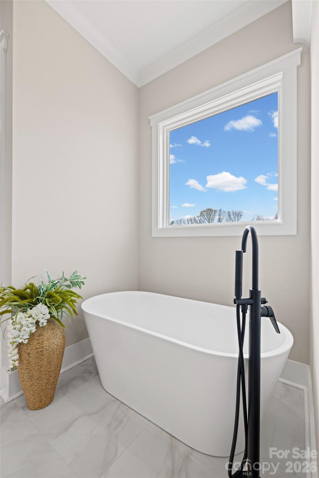 254 Triple Ponds Court — Clover