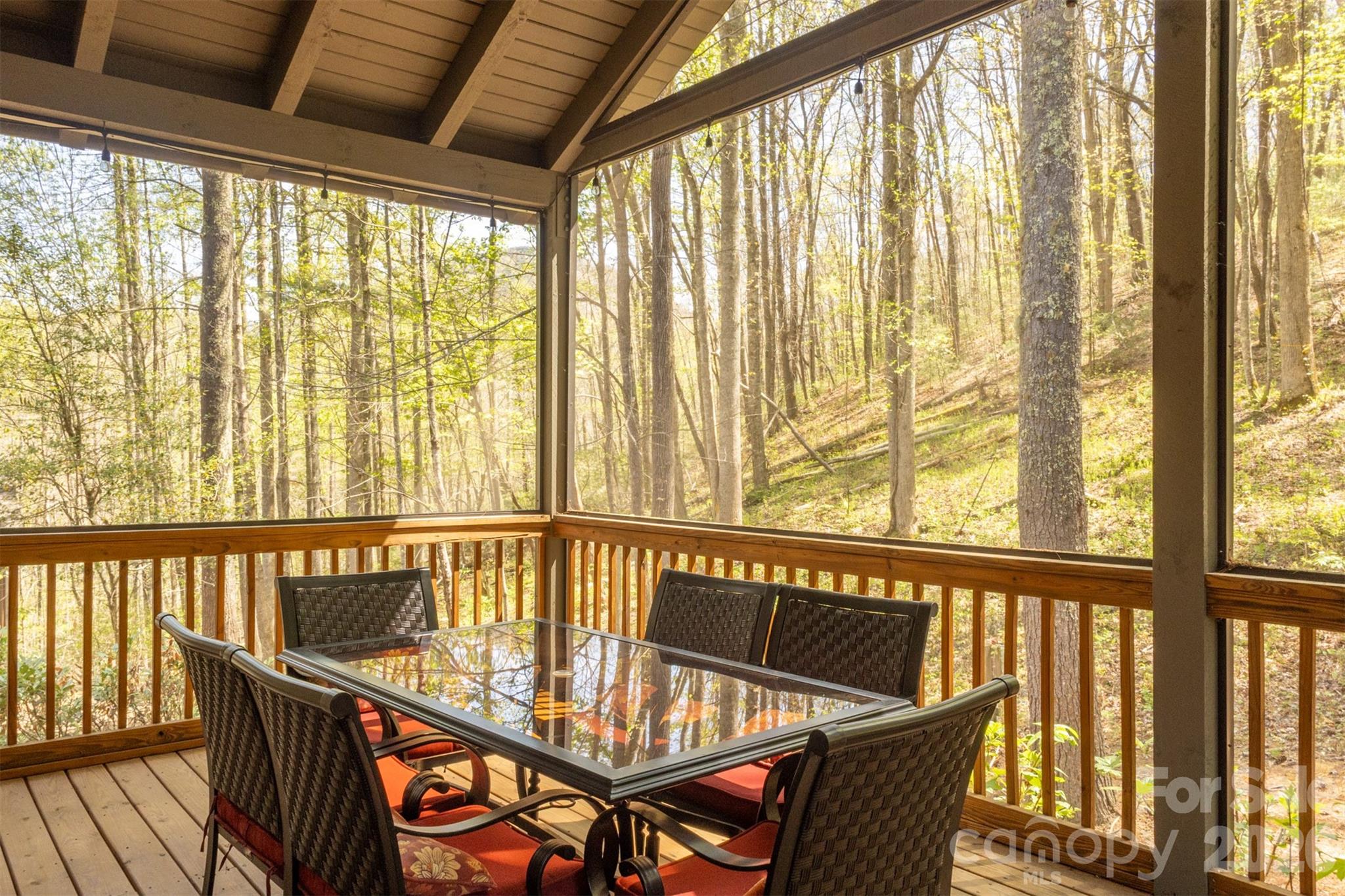 82 Meadow Ridge Court — Tuckasegee