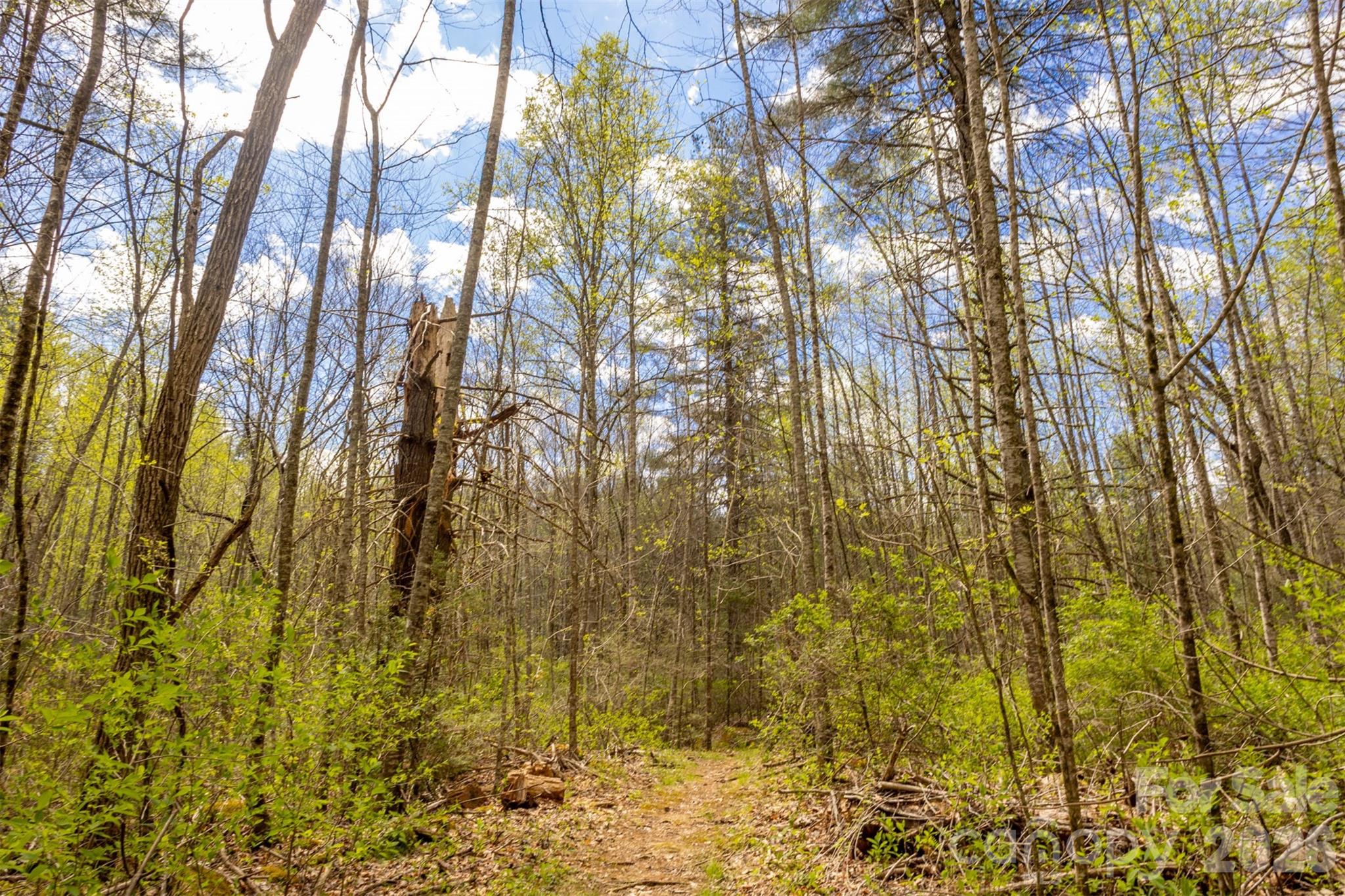 82 Meadow Ridge Court — Tuckasegee
