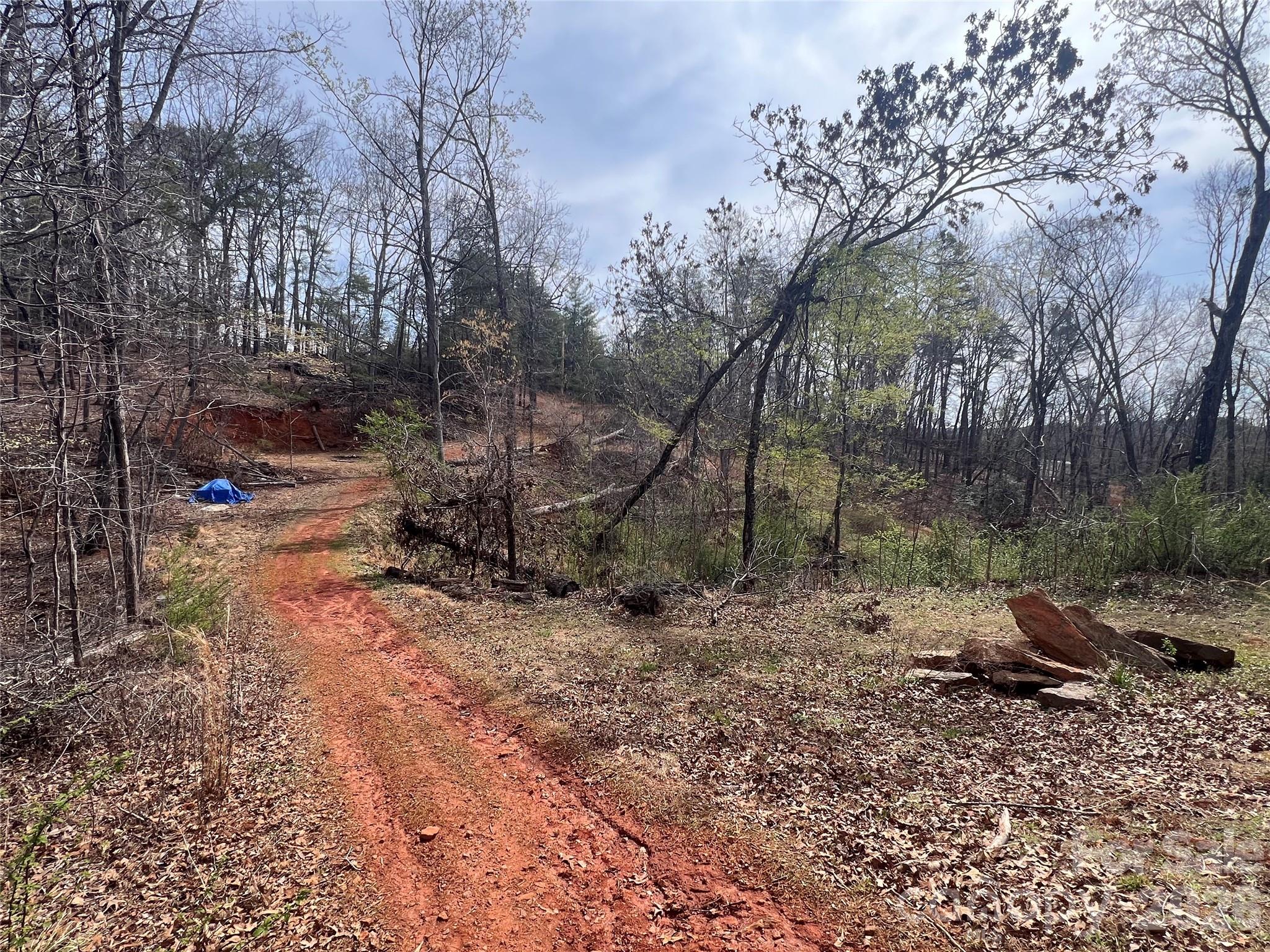 365 Hillbilly Lane — Mill Spring