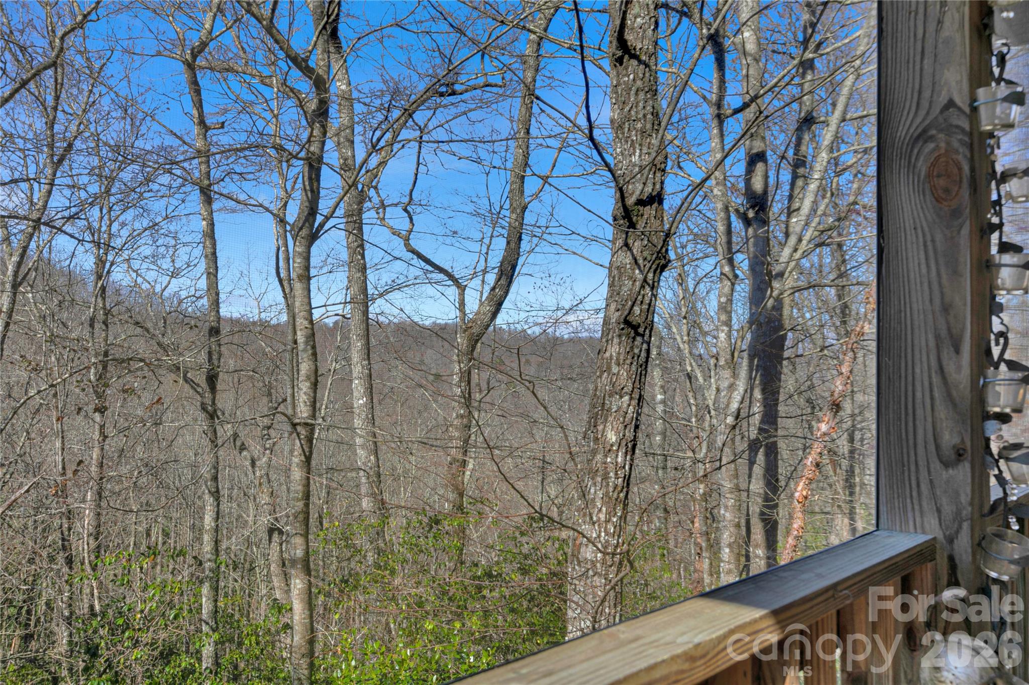 63 Wanei Court — Brevard