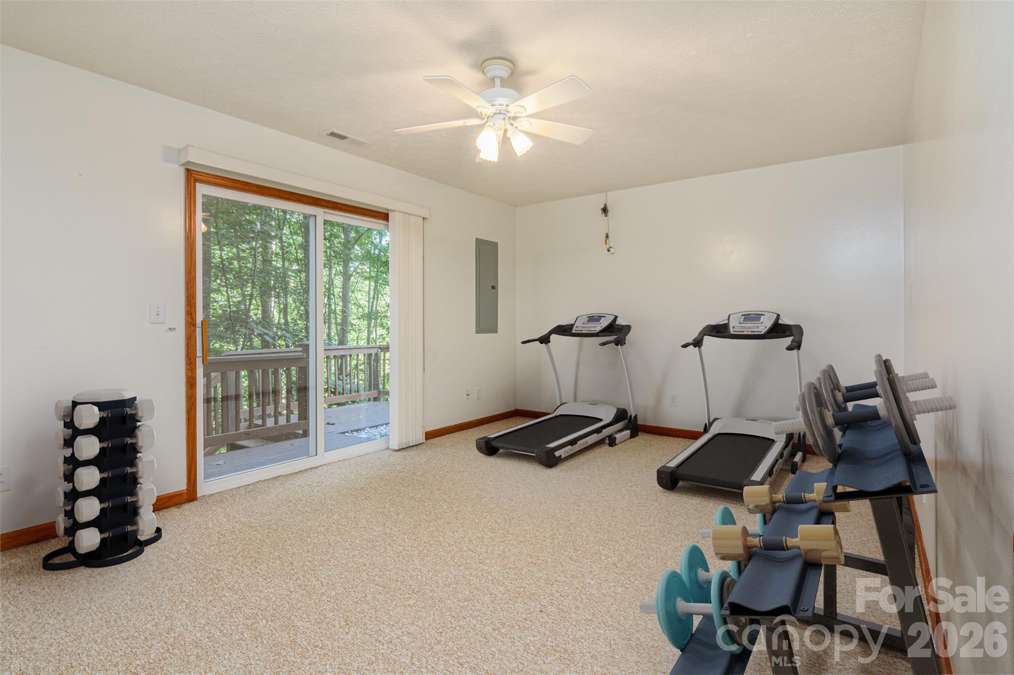 299 Carriage Summitt Way — Hendersonville