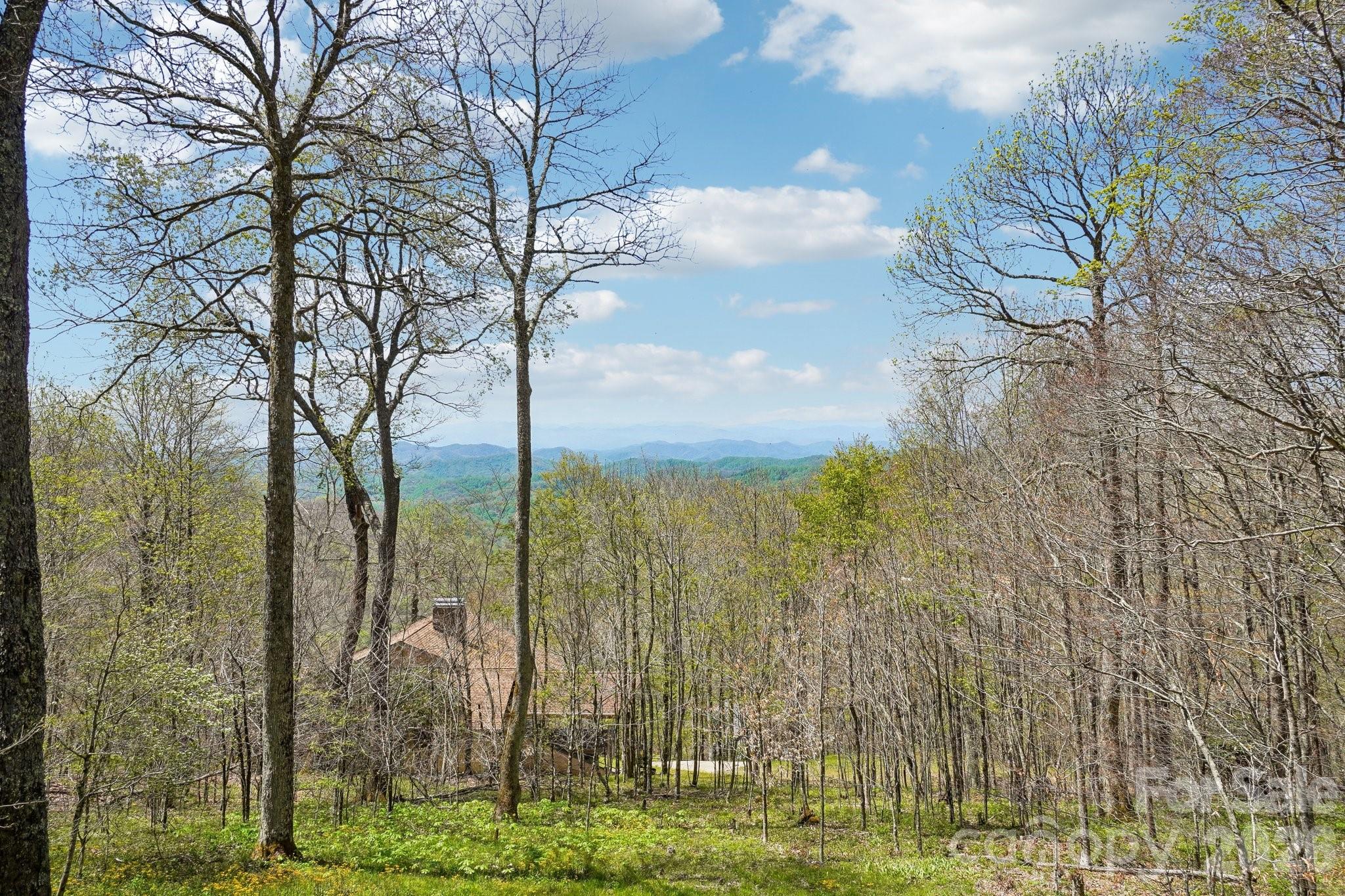 34 Wolfs Head Court — Mars Hill