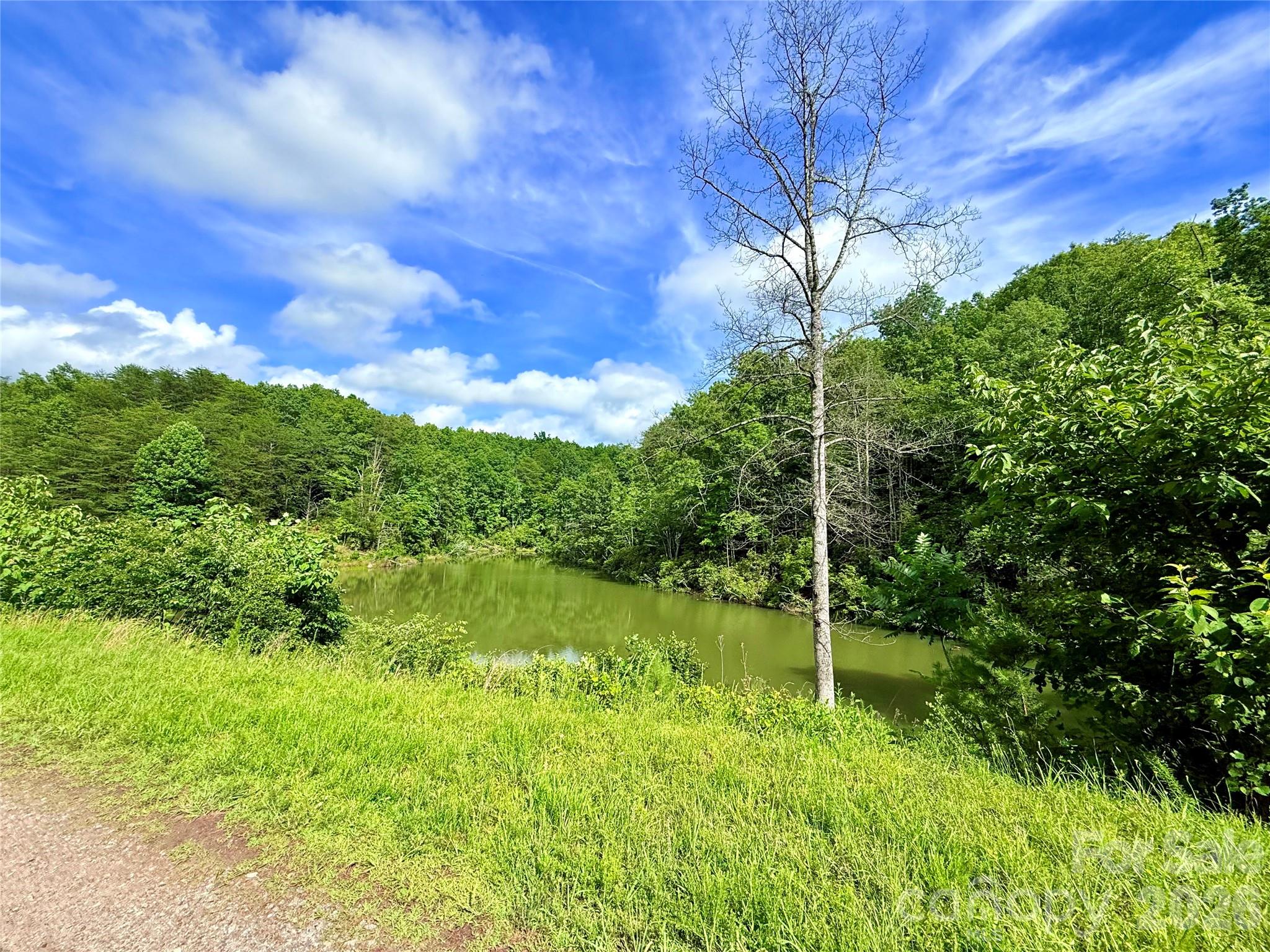 221 Summerfield Lane — Rutherfordton