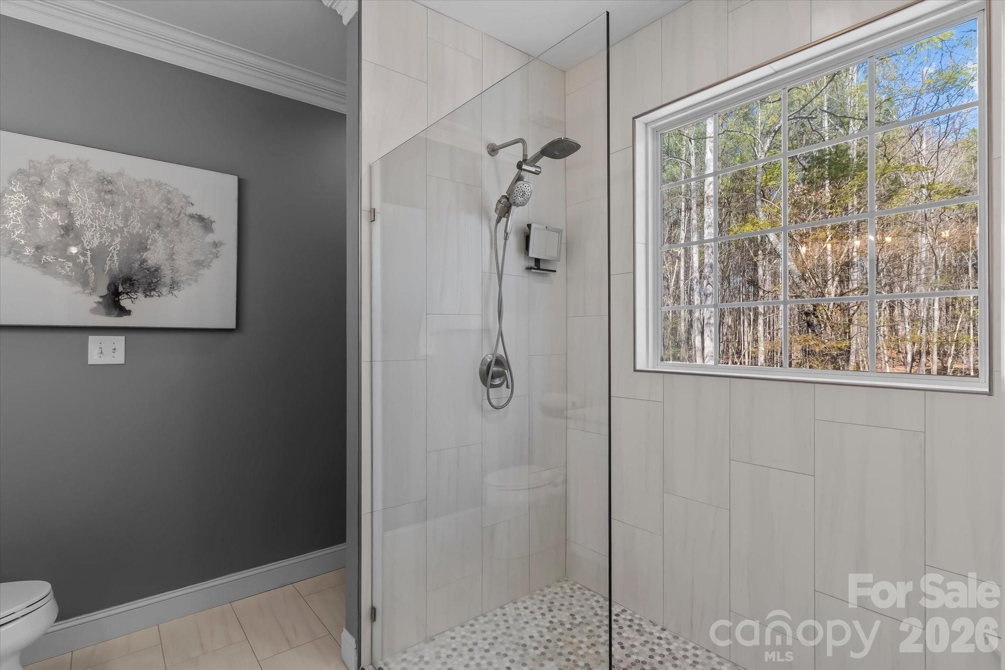 434 Catalina Drive — Mooresville