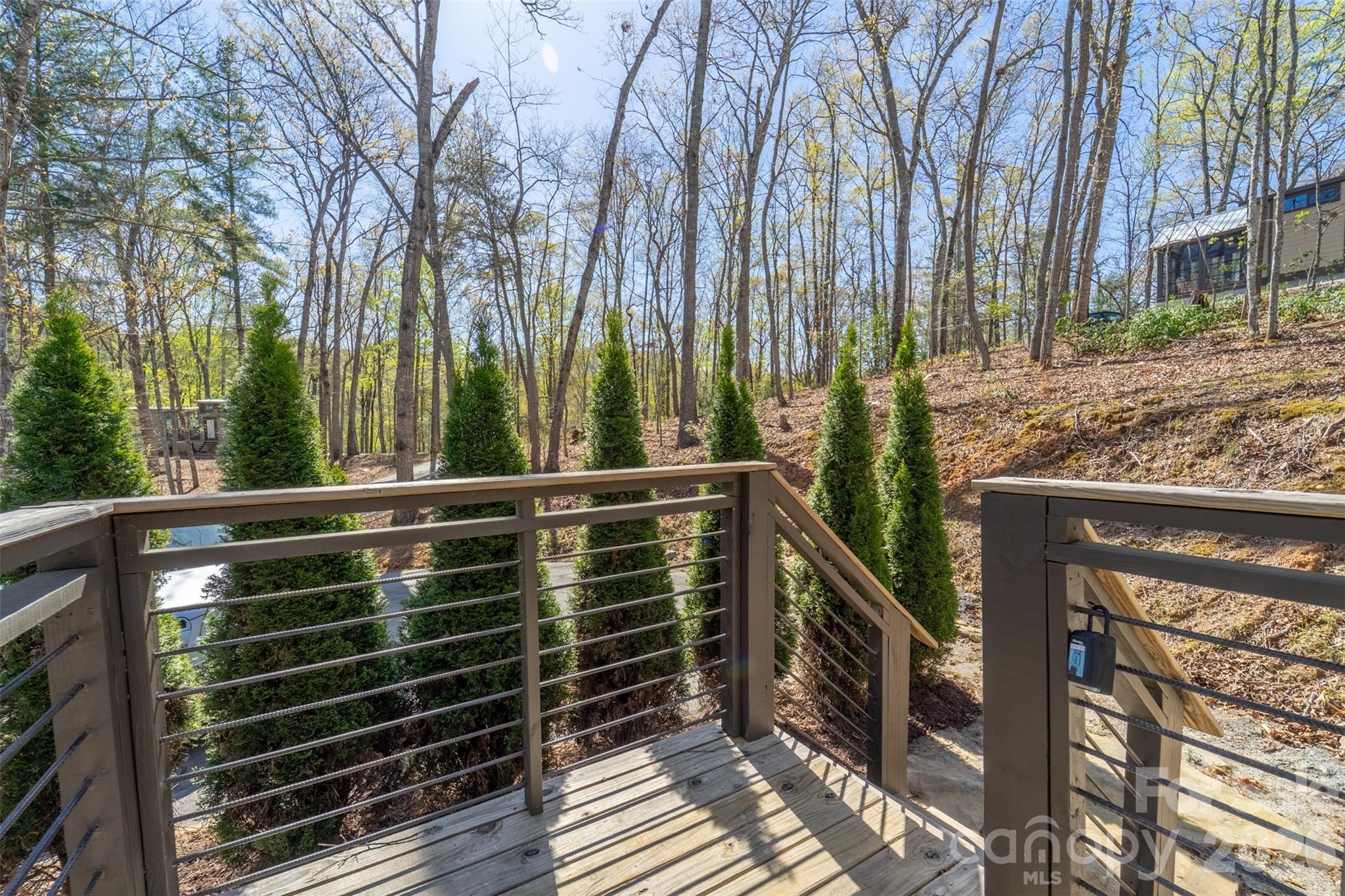163 Simplicity Woods Drive — Franklin