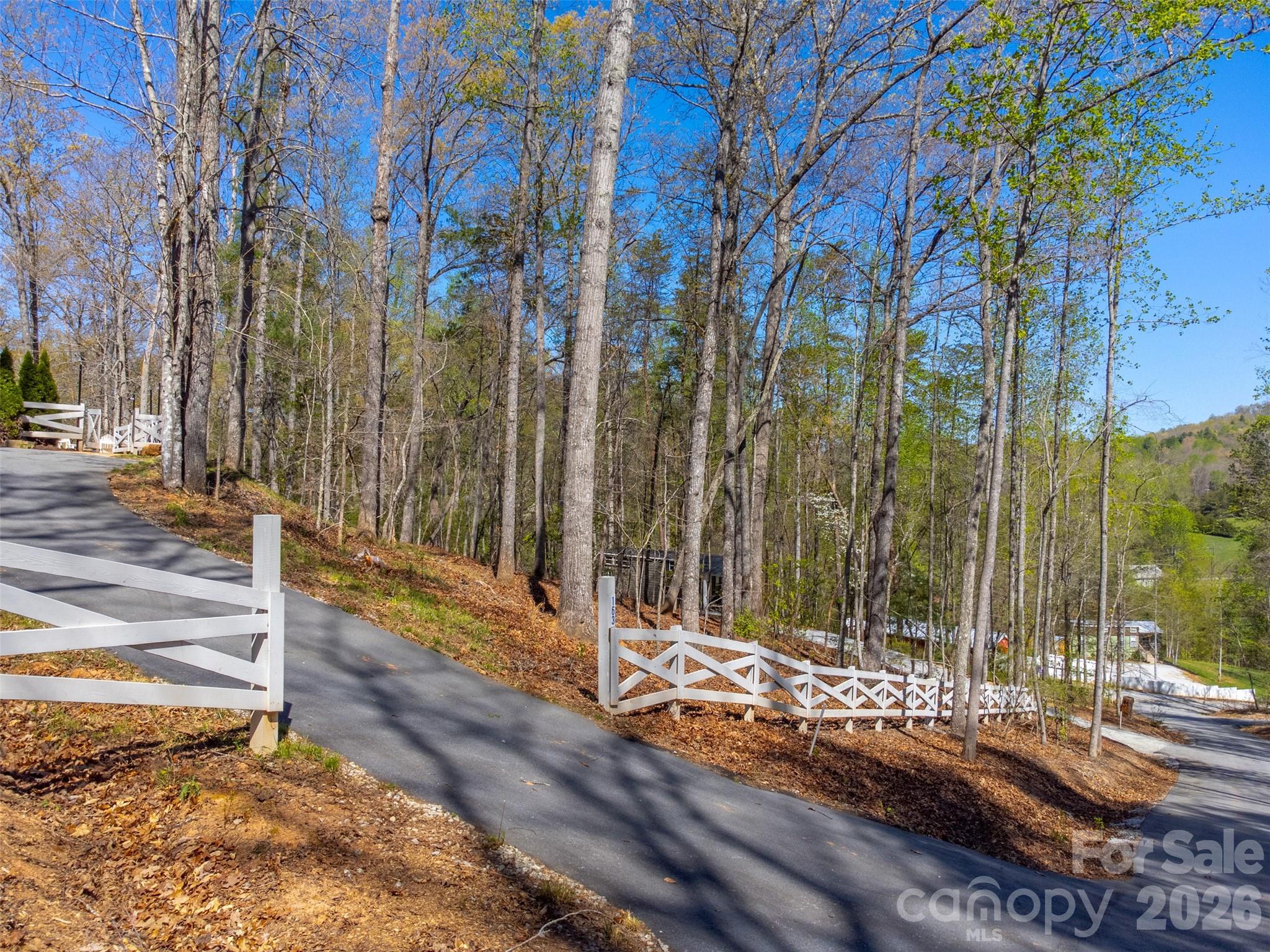 163 Simplicity Woods Drive — Franklin