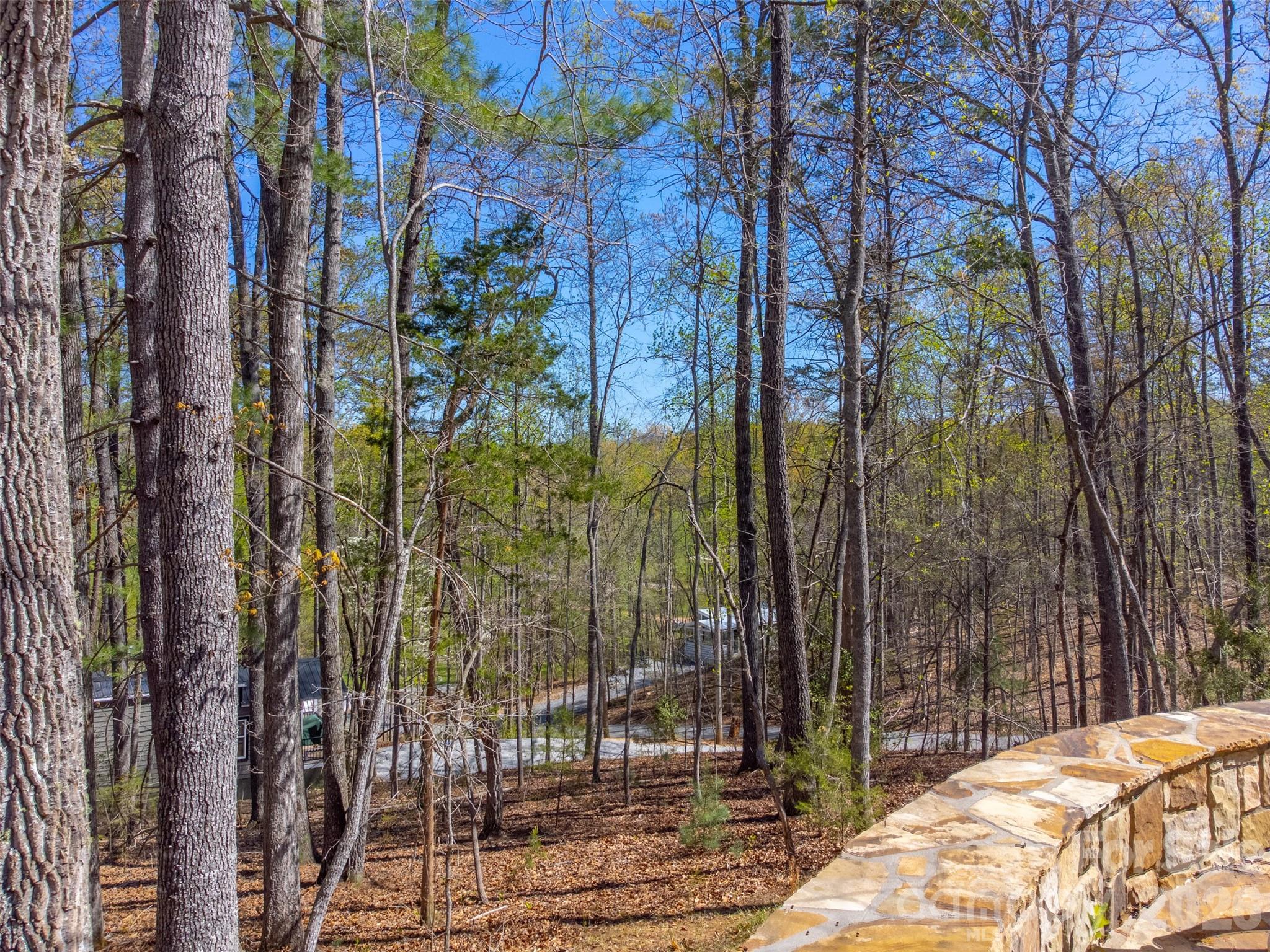 163 Simplicity Woods Drive — Franklin