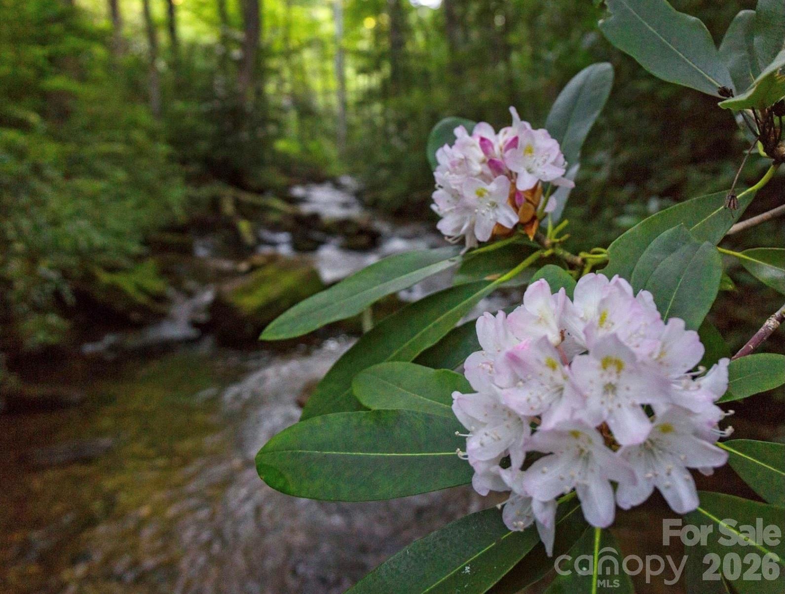 33 Robinson Creek Road — Asheville