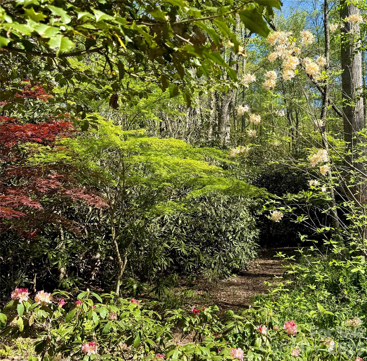 33 Robinson Creek Road — Asheville