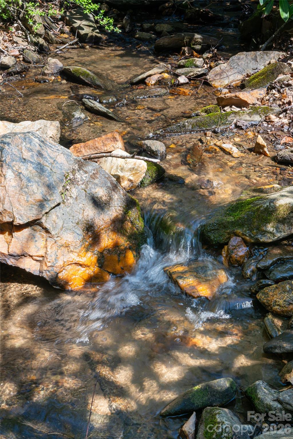33 Robinson Creek Road — Asheville