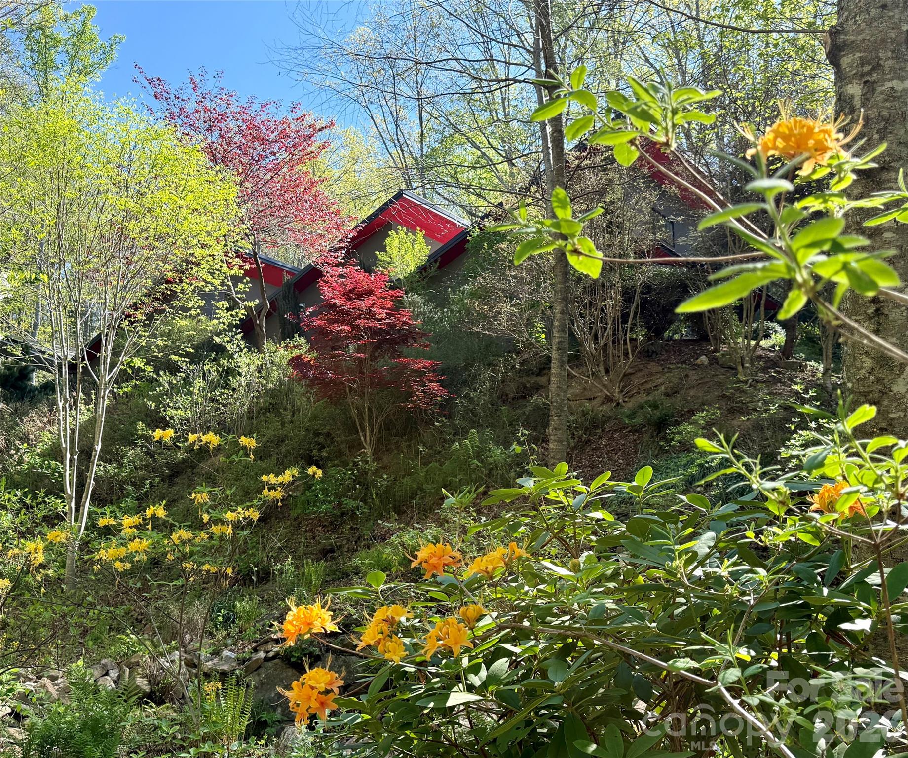 33 Robinson Creek Road — Asheville