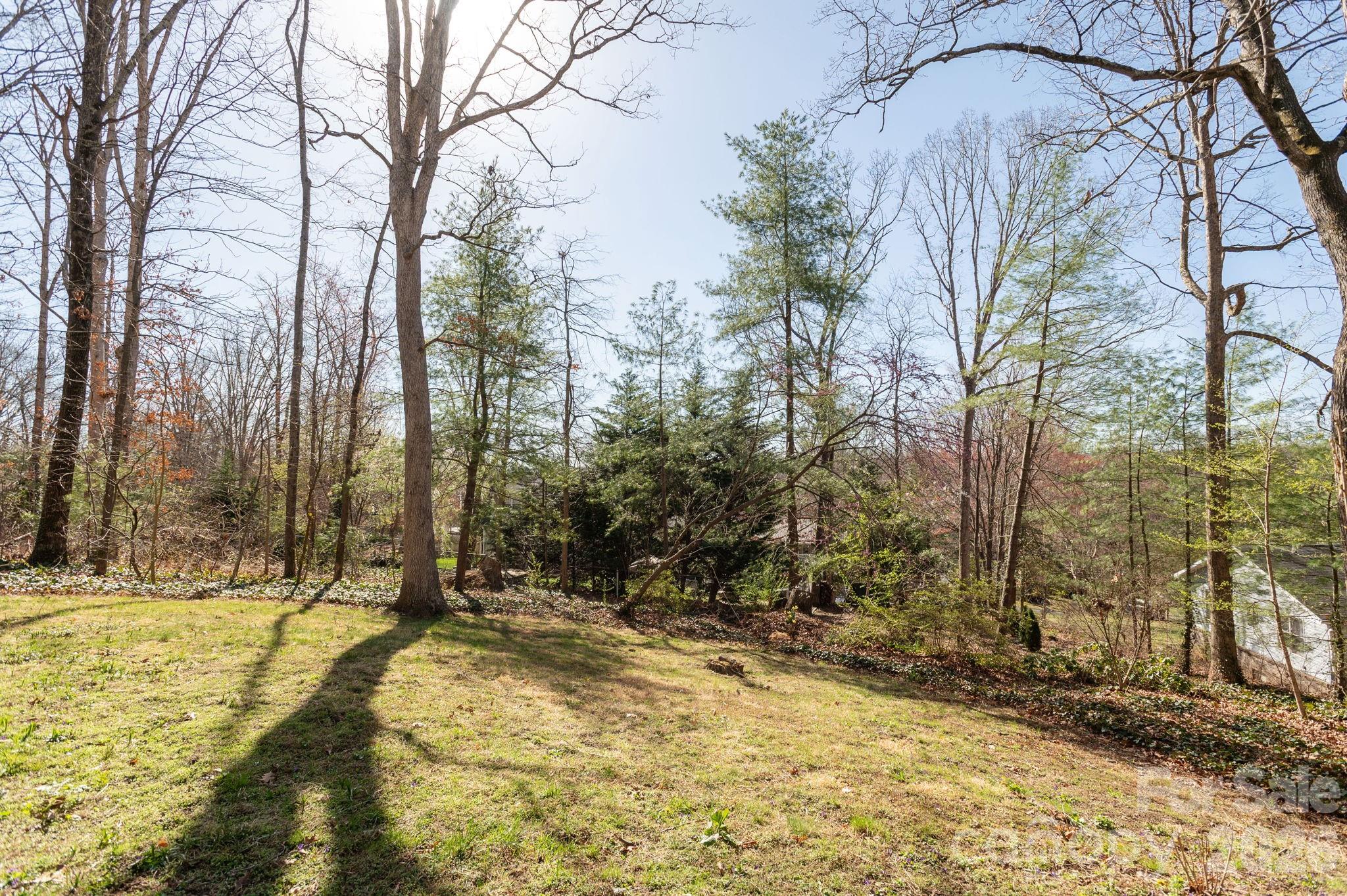 3113 Primrose Drive — Hendersonville