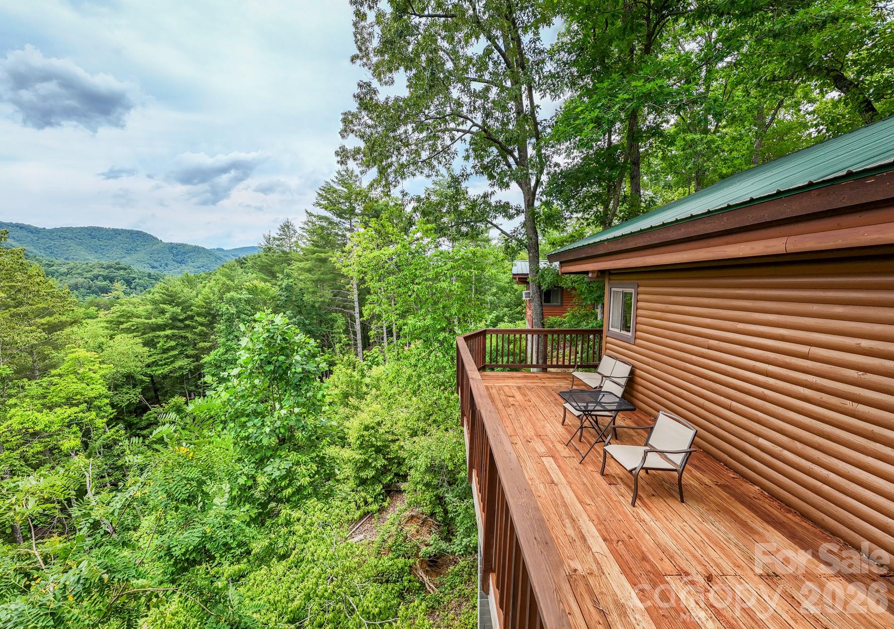 307 Blue Ridge Parkway — Bryson City