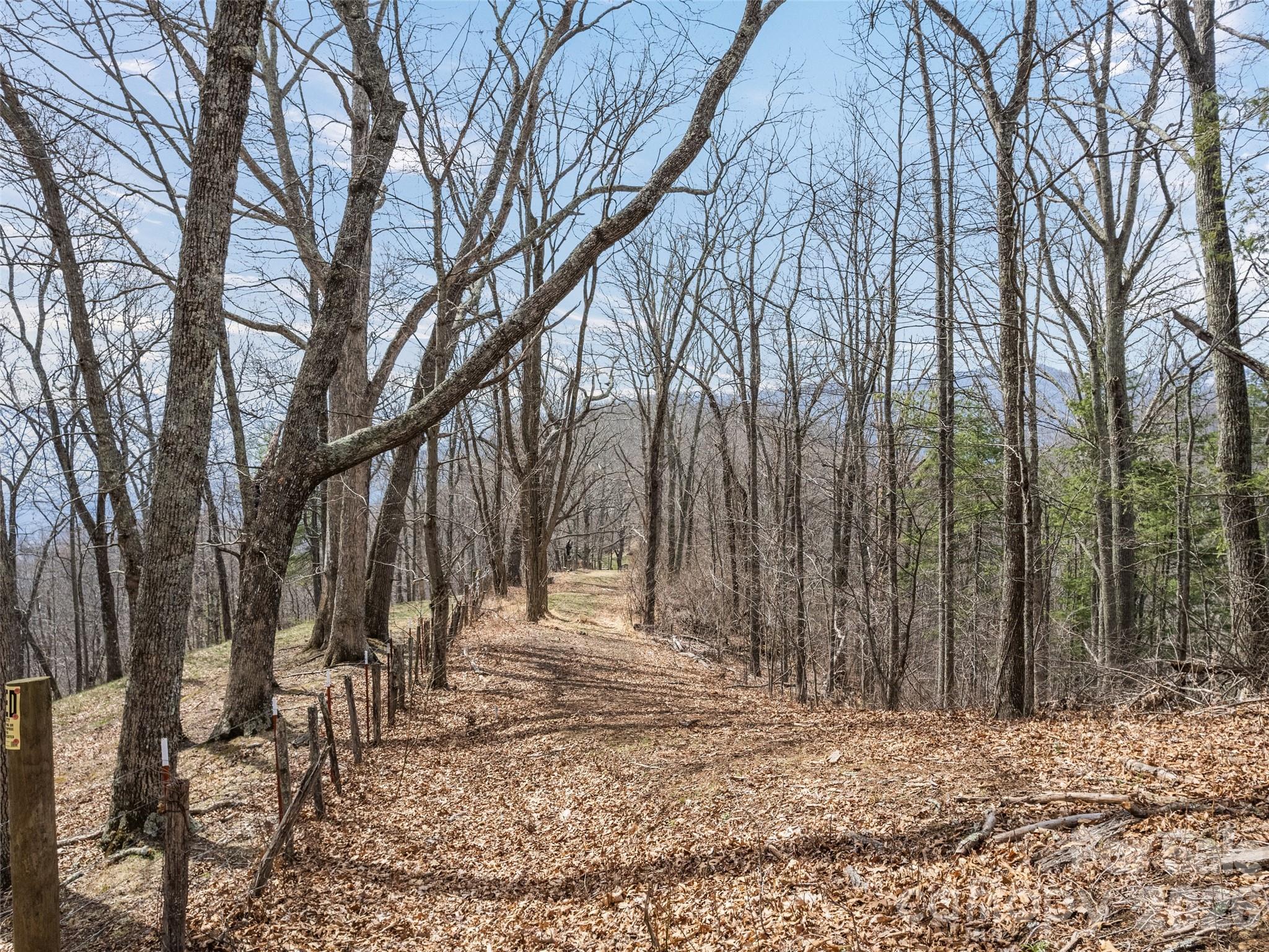 415 Treetop Lane — Waynesville