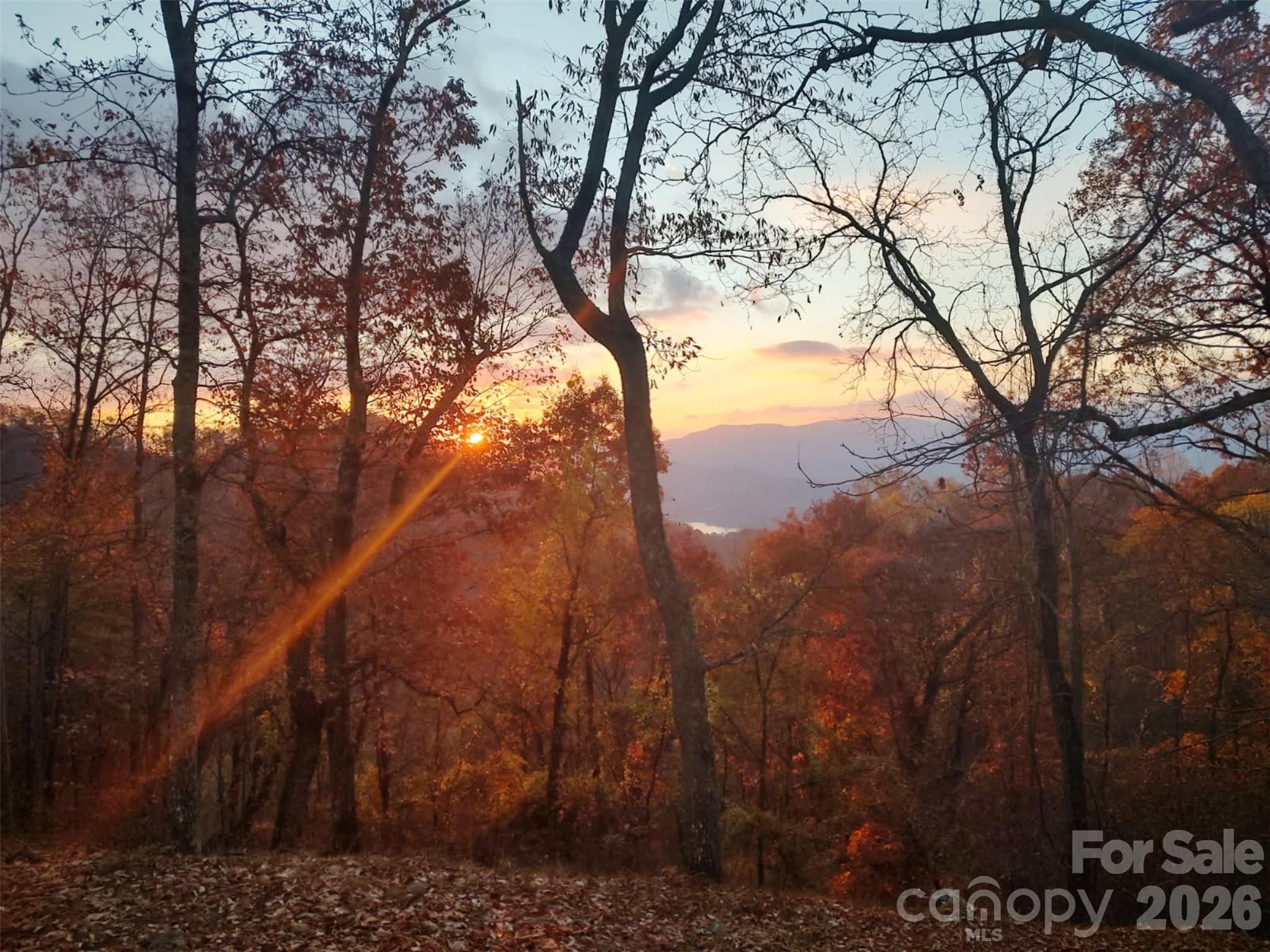 415 Treetop Lane — Waynesville