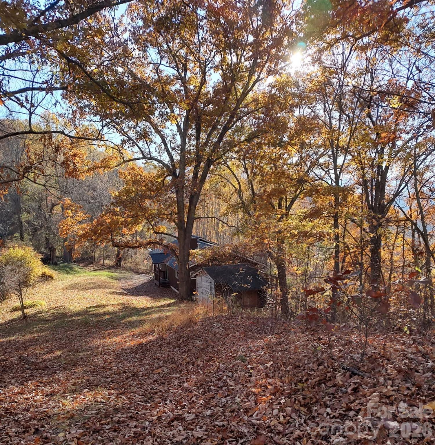 415 Treetop Lane — Waynesville