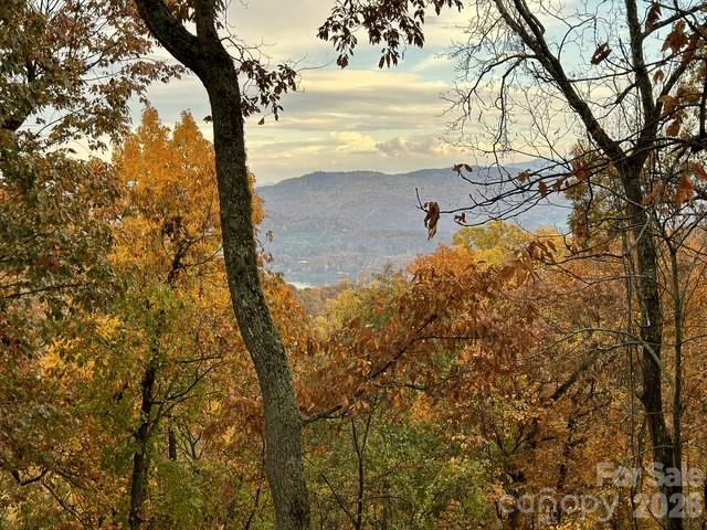 415 Treetop Lane — Waynesville