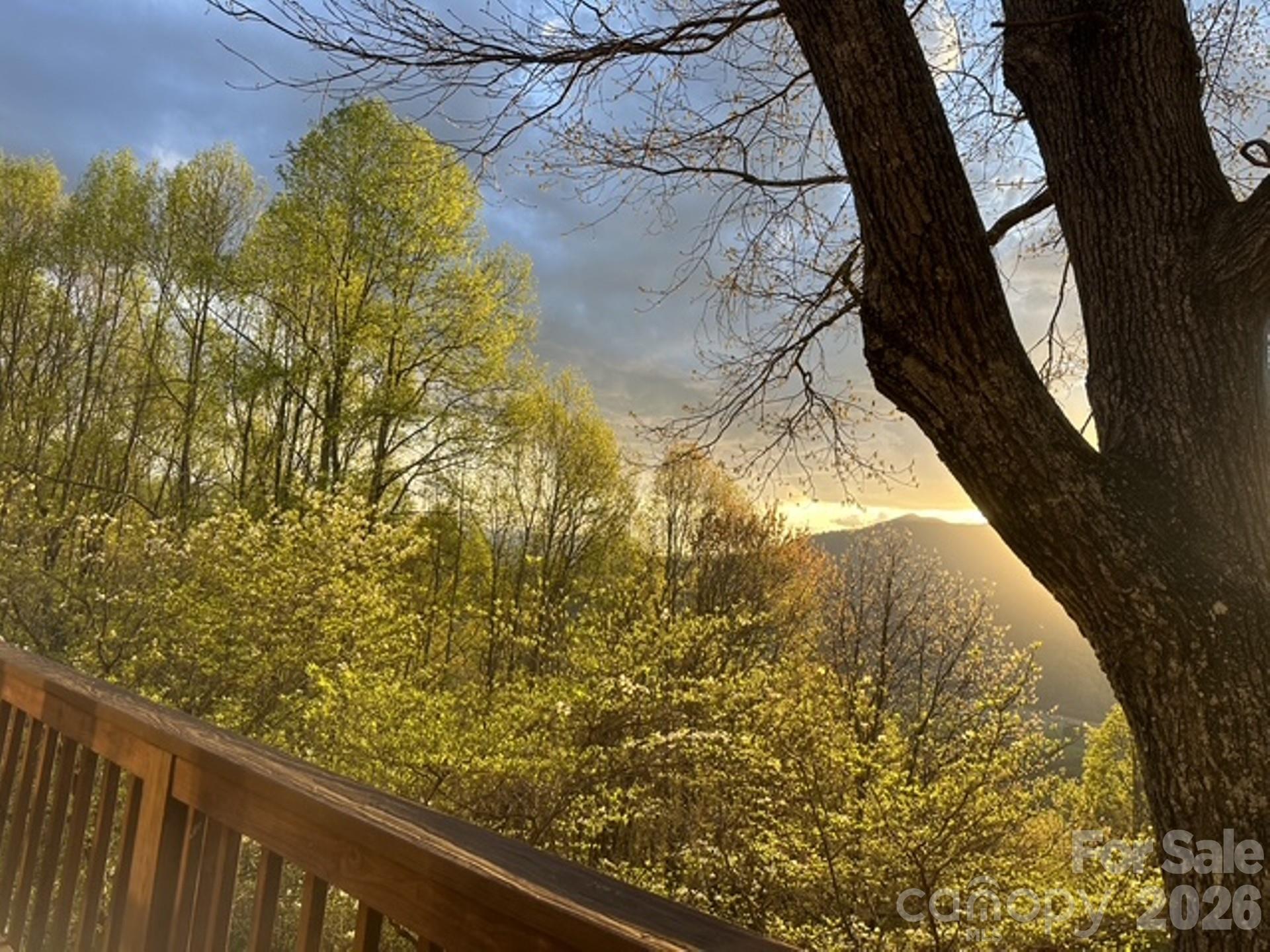 415 Treetop Lane — Waynesville