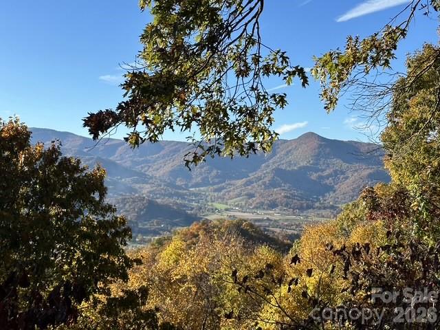 415 Treetop Lane — Waynesville