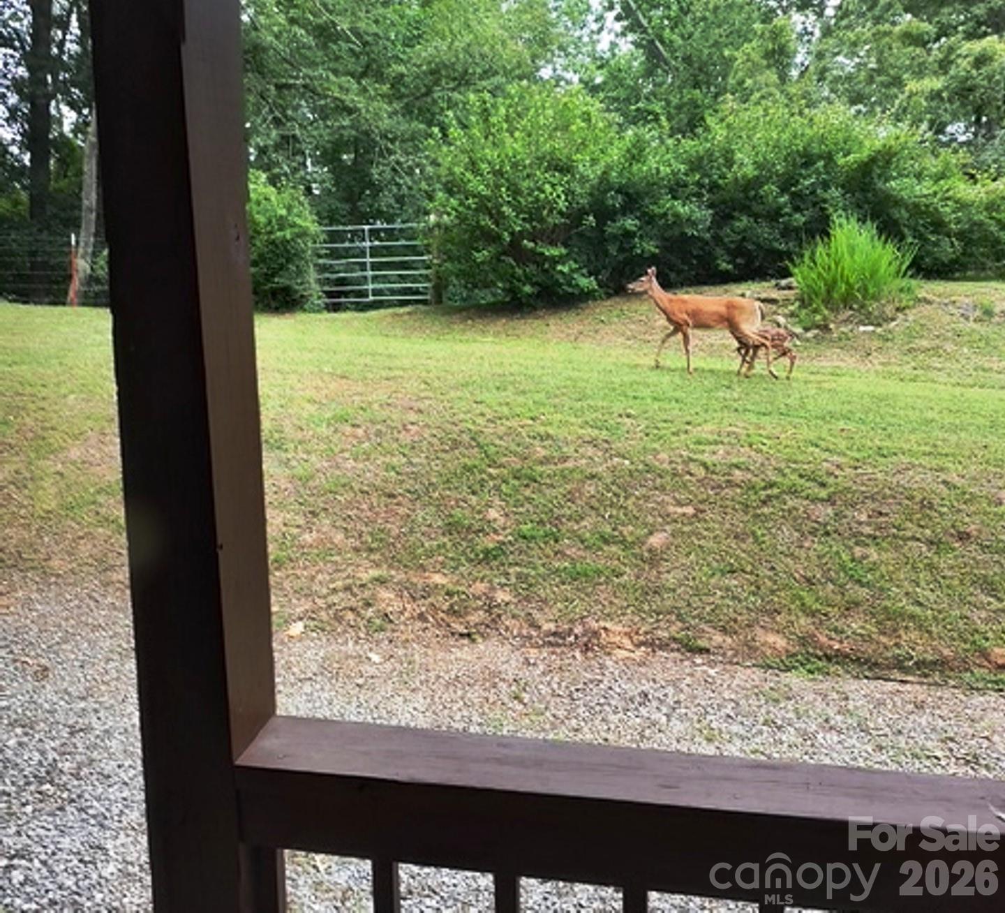415 Treetop Lane — Waynesville