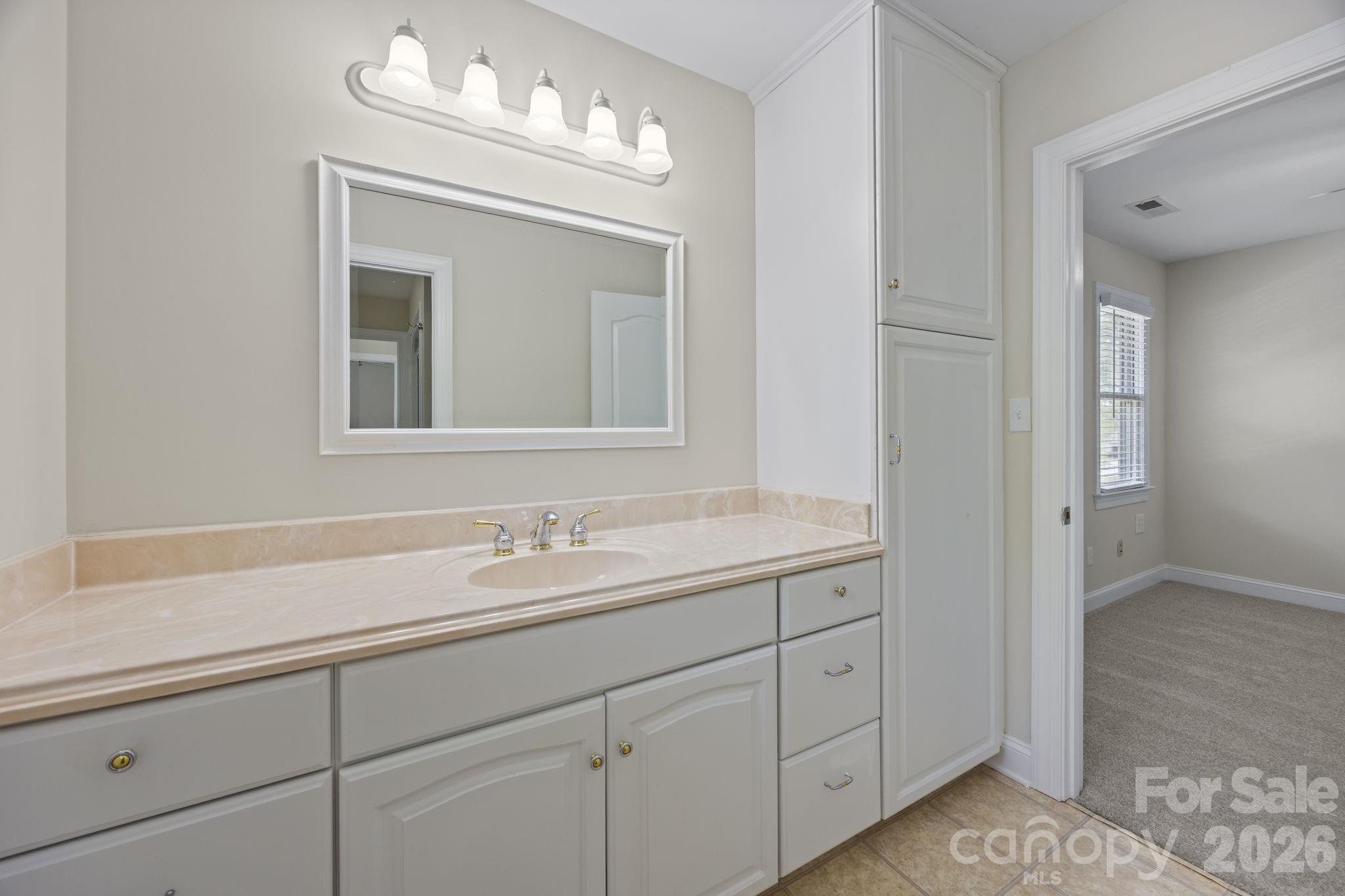 5109 McCallum Meadows Drive — Charlotte