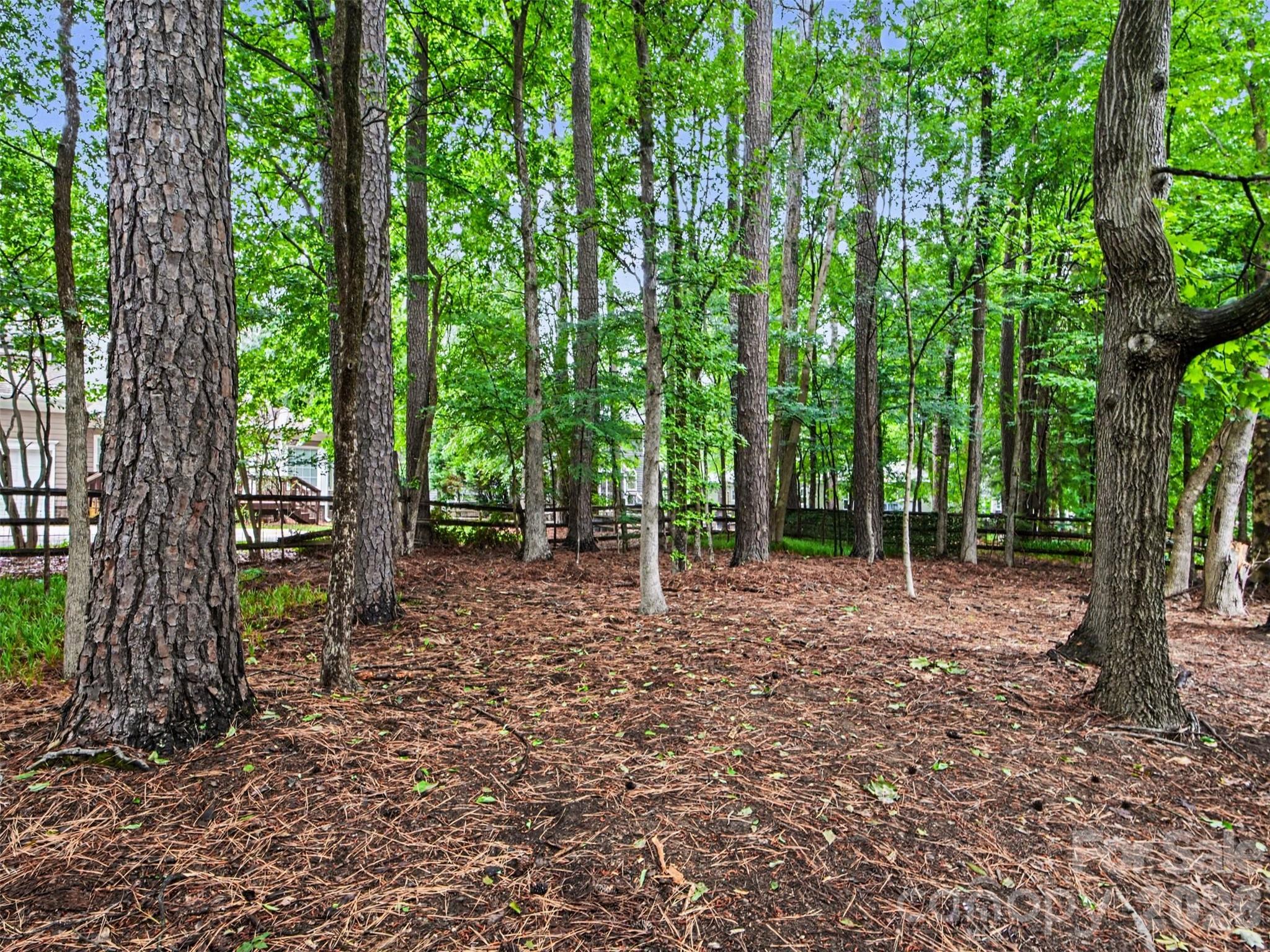6401 Morningsong Lane — Charlotte