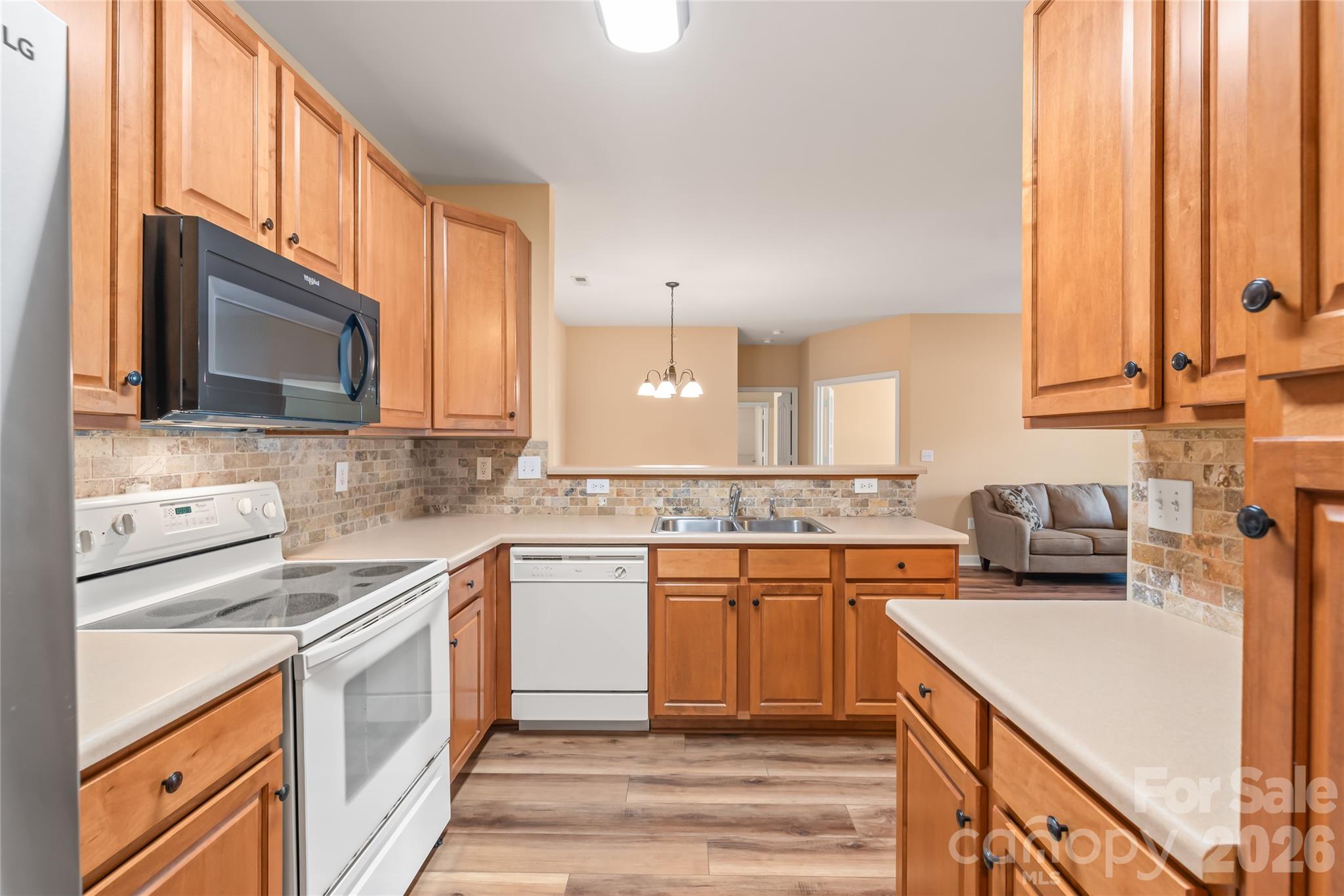 16439 Golden River Lane — Charlotte