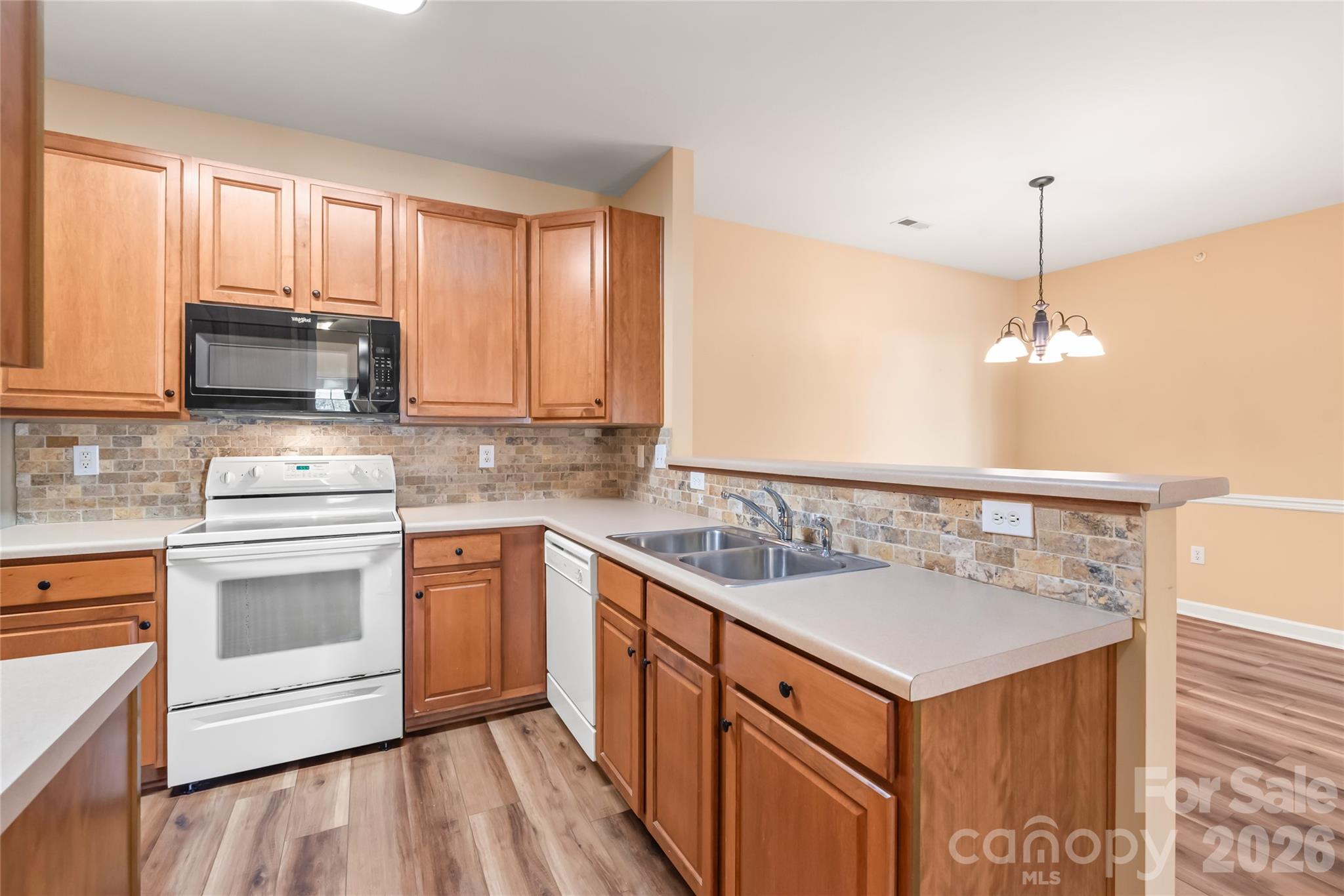 16439 Golden River Lane — Charlotte
