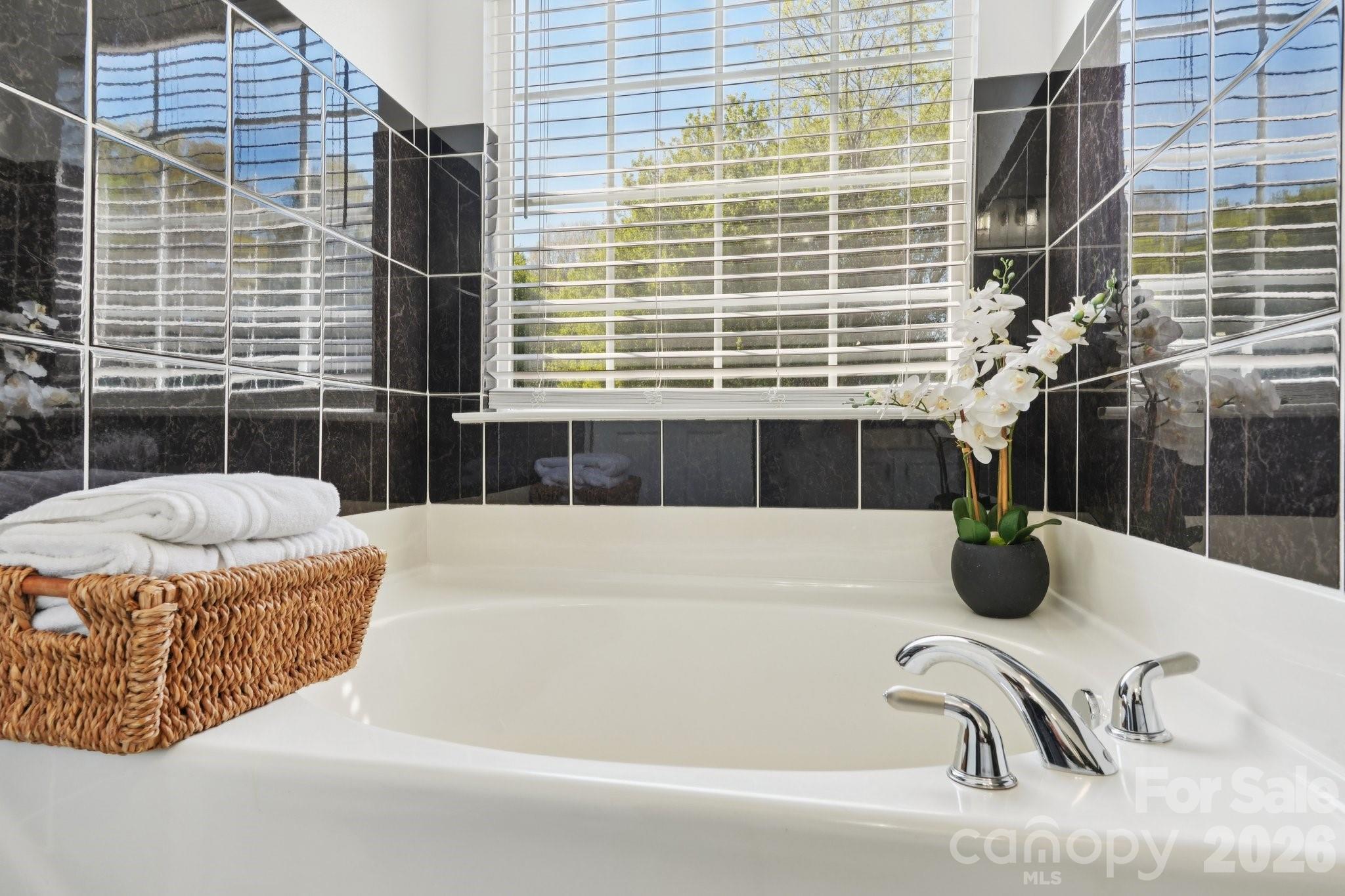 13317 Emerald Branch Lane — Charlotte