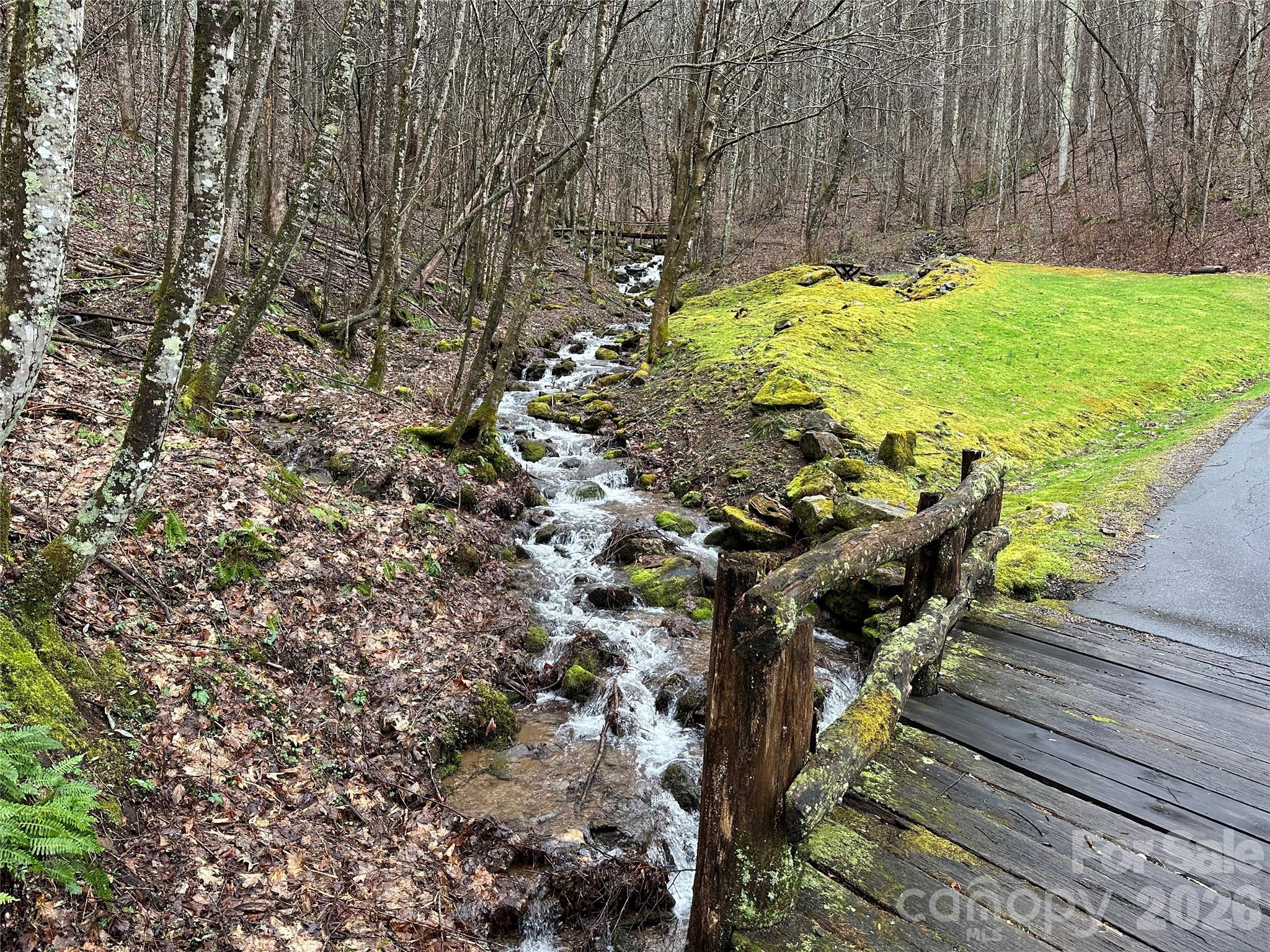 1664 Tawodi Trail — Maggie Valley