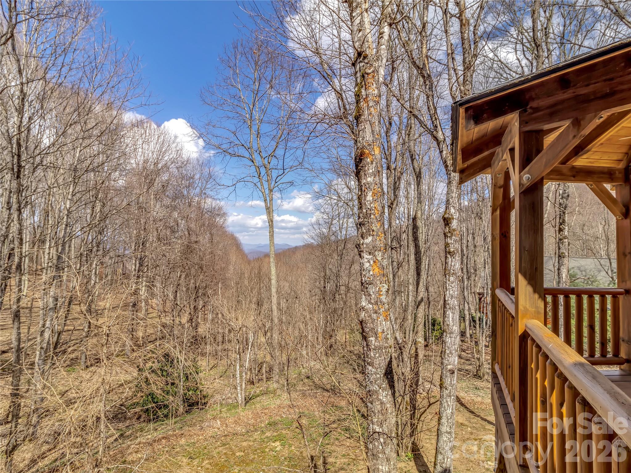 1664 Tawodi Trail — Maggie Valley