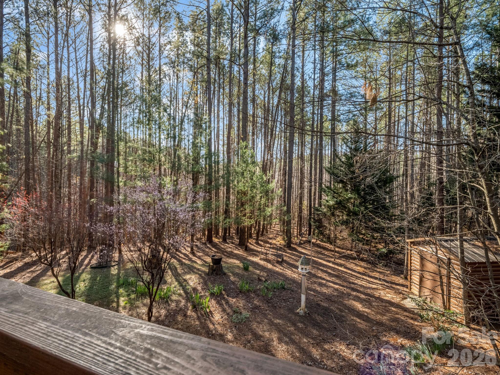 907 Hidden Lake Parkway — Nebo