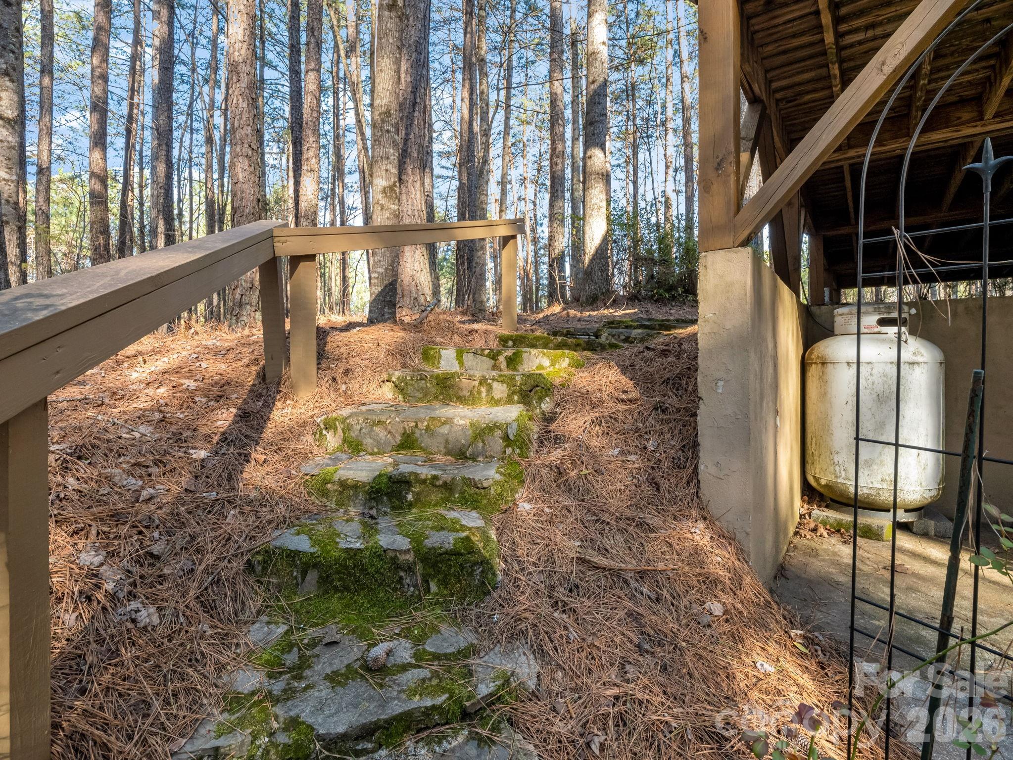 907 Hidden Lake Parkway — Nebo