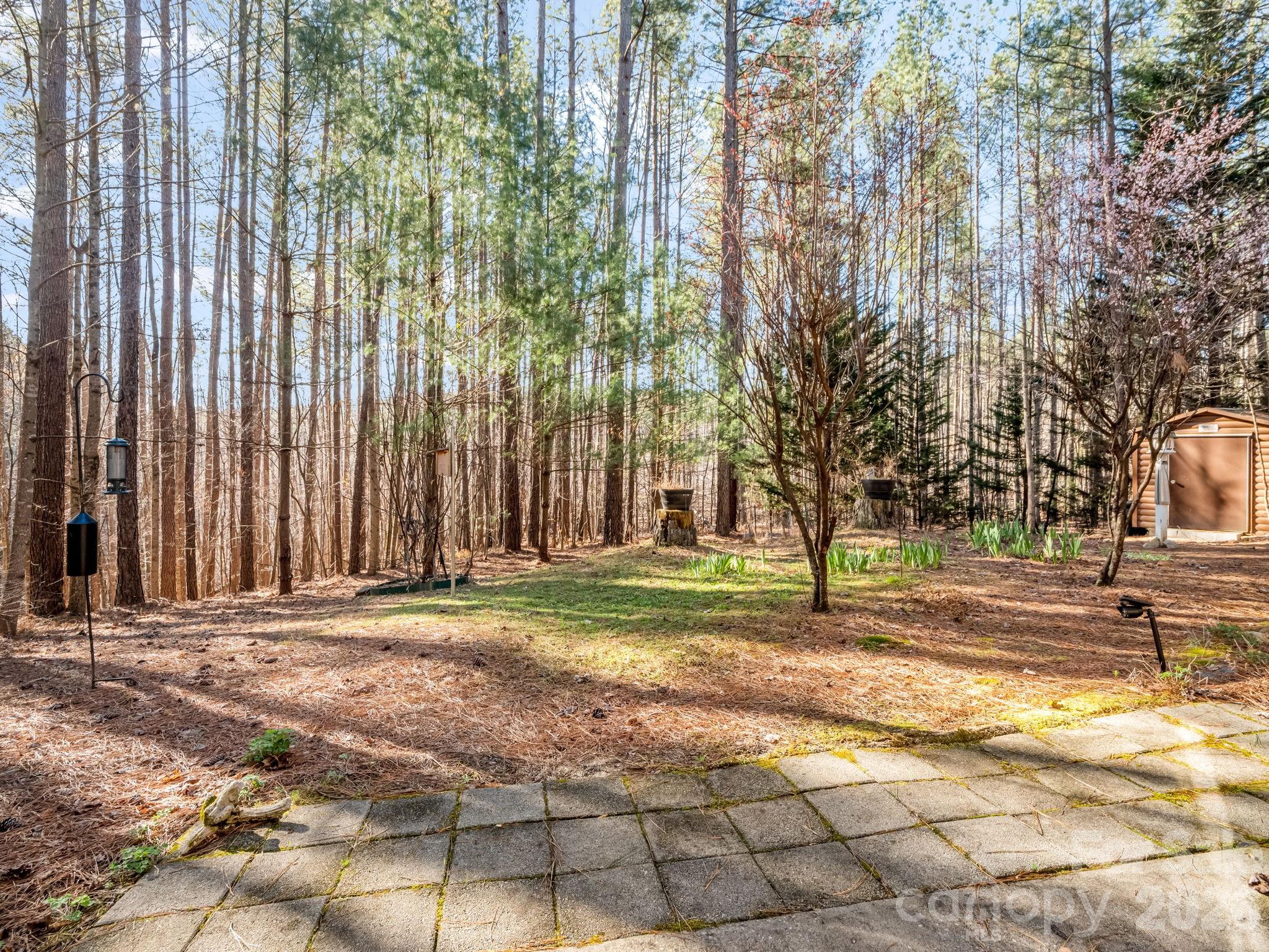 907 Hidden Lake Parkway — Nebo