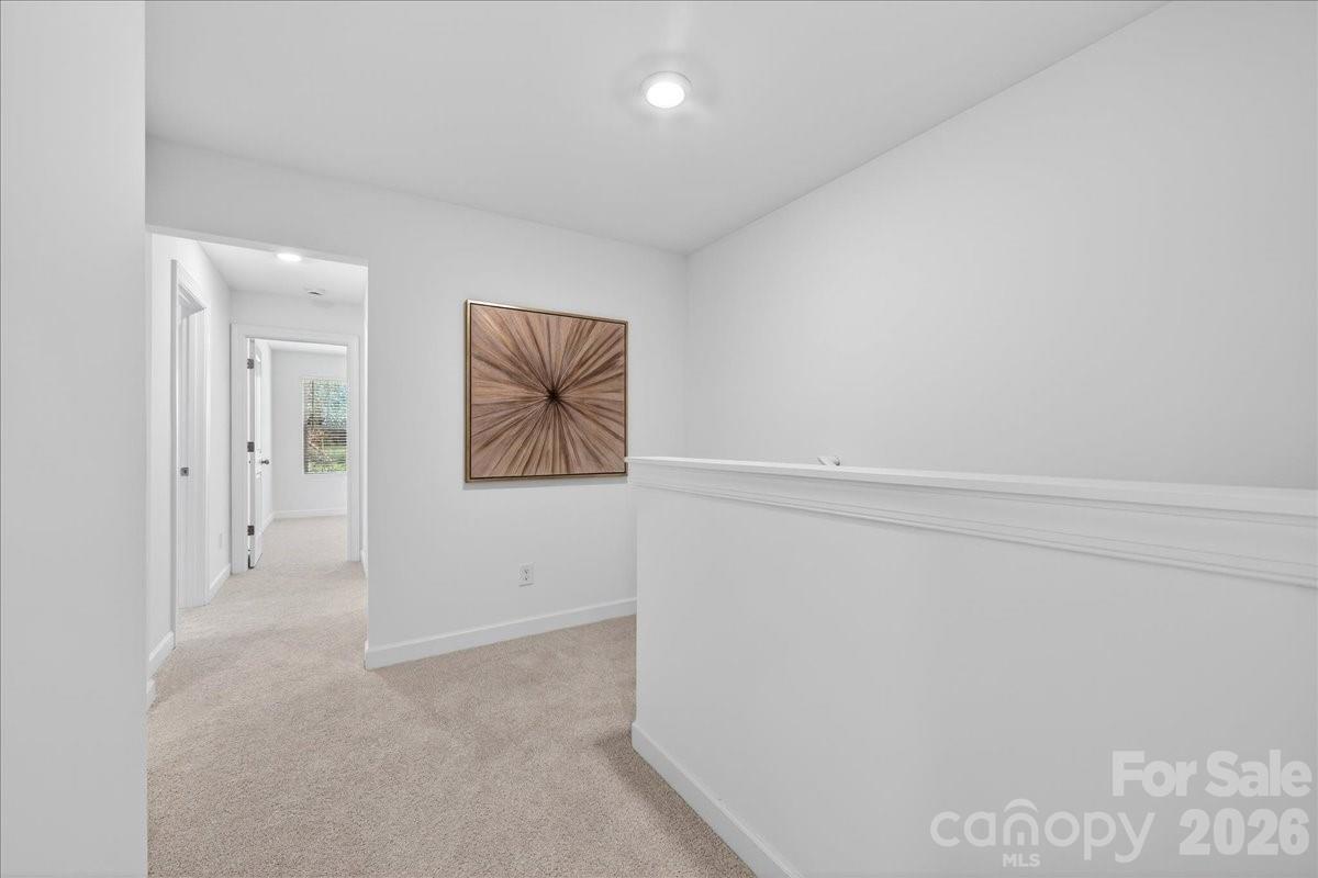 1428 Anderson Street — Charlotte