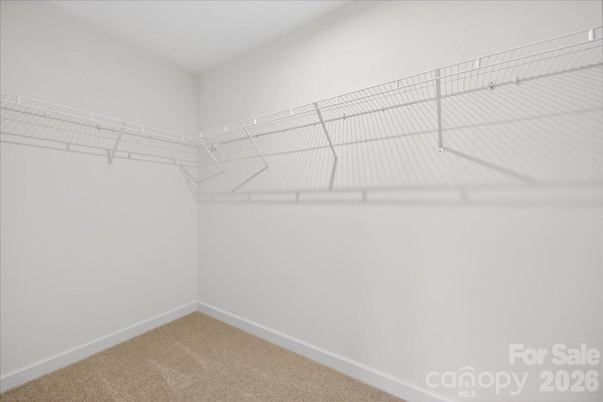 1428 Anderson Street — Charlotte