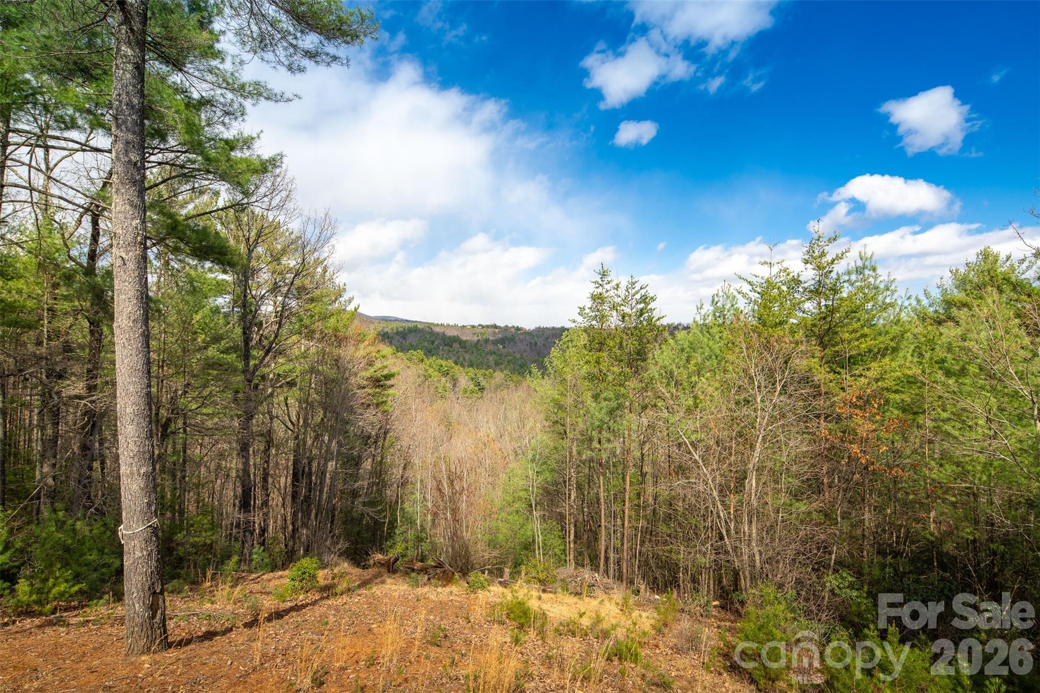 128 Deer Antler Drive — Purlear