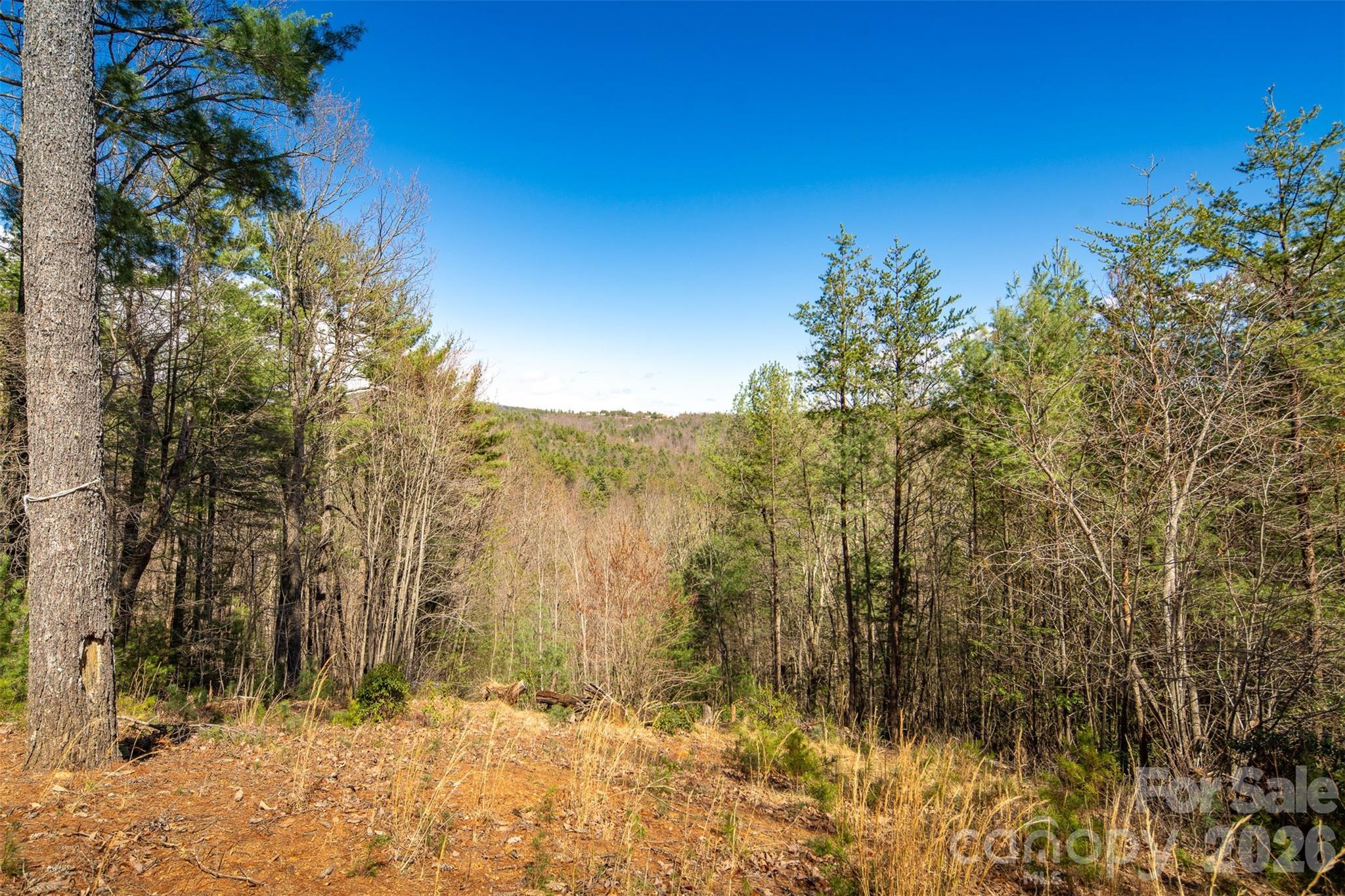 128 Deer Antler Drive — Purlear