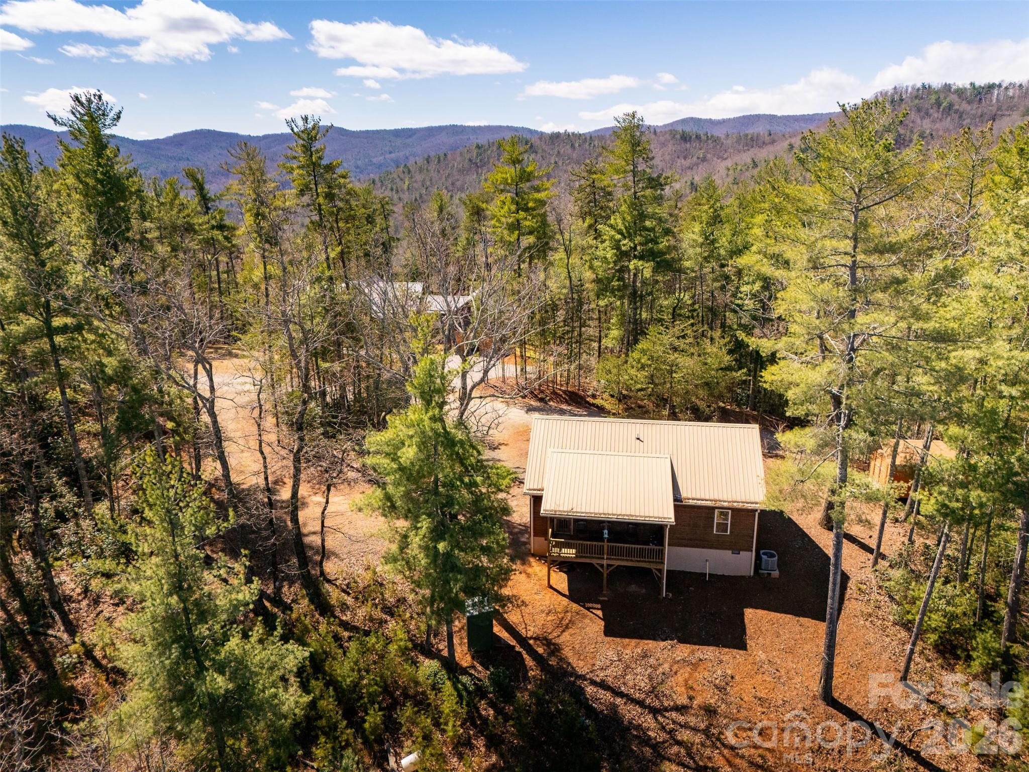 128 Deer Antler Drive — Purlear