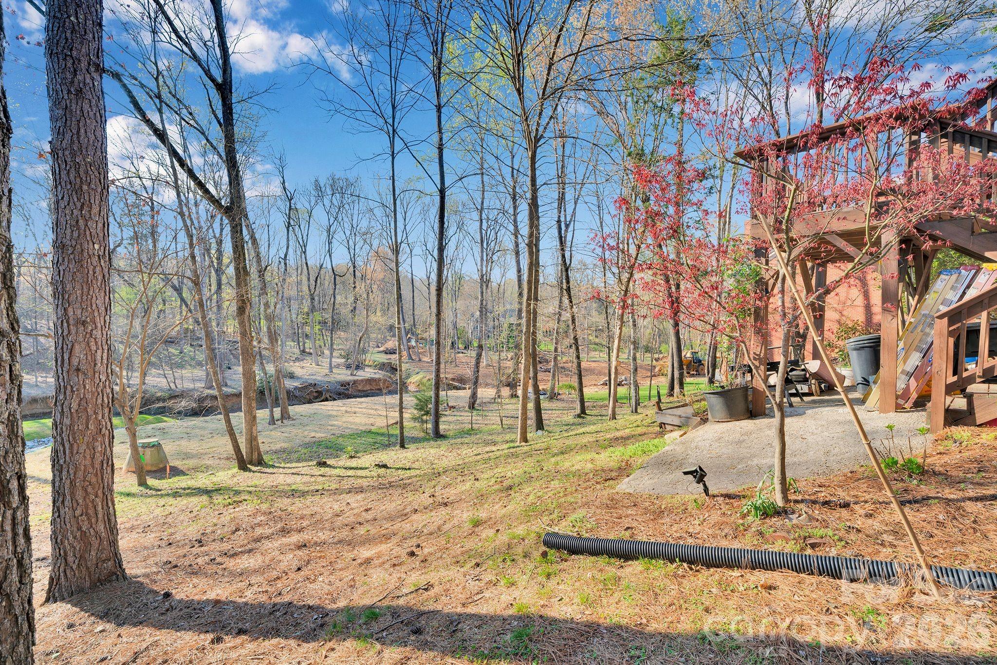 4754 Andrews Links Street — Charlotte