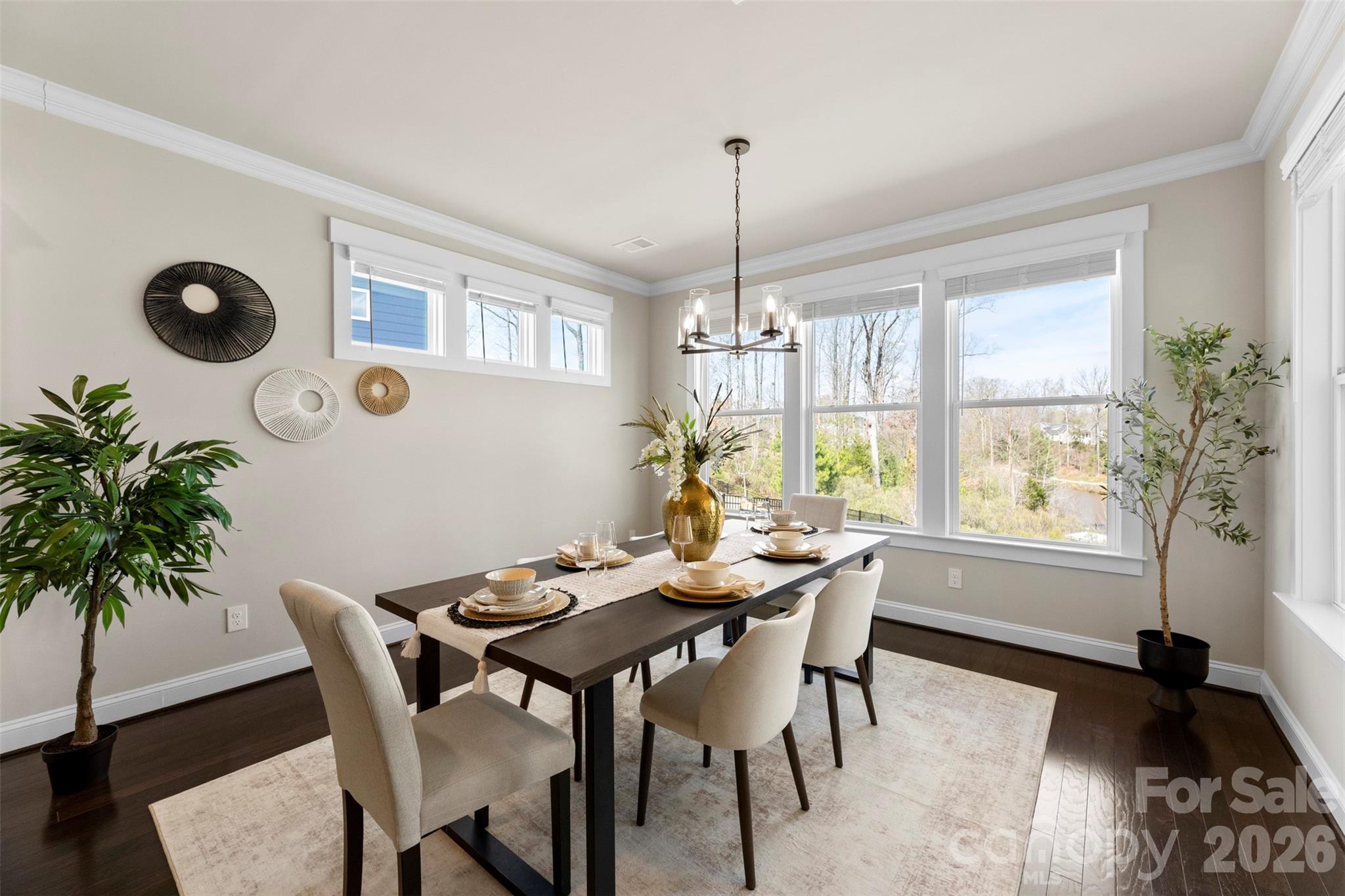 4117 Spring Cove Way — Belmont