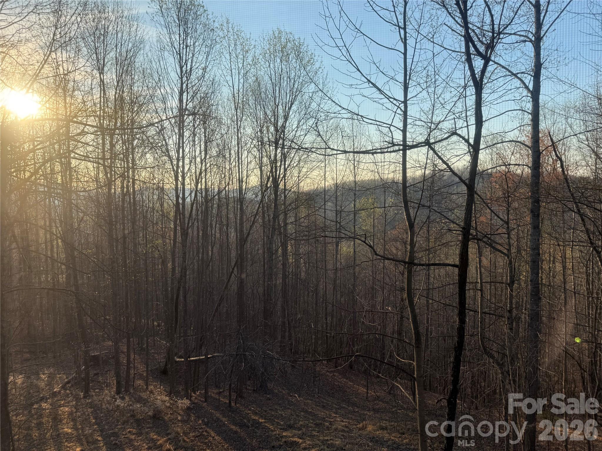 476 Double Eagle Drive — Nebo