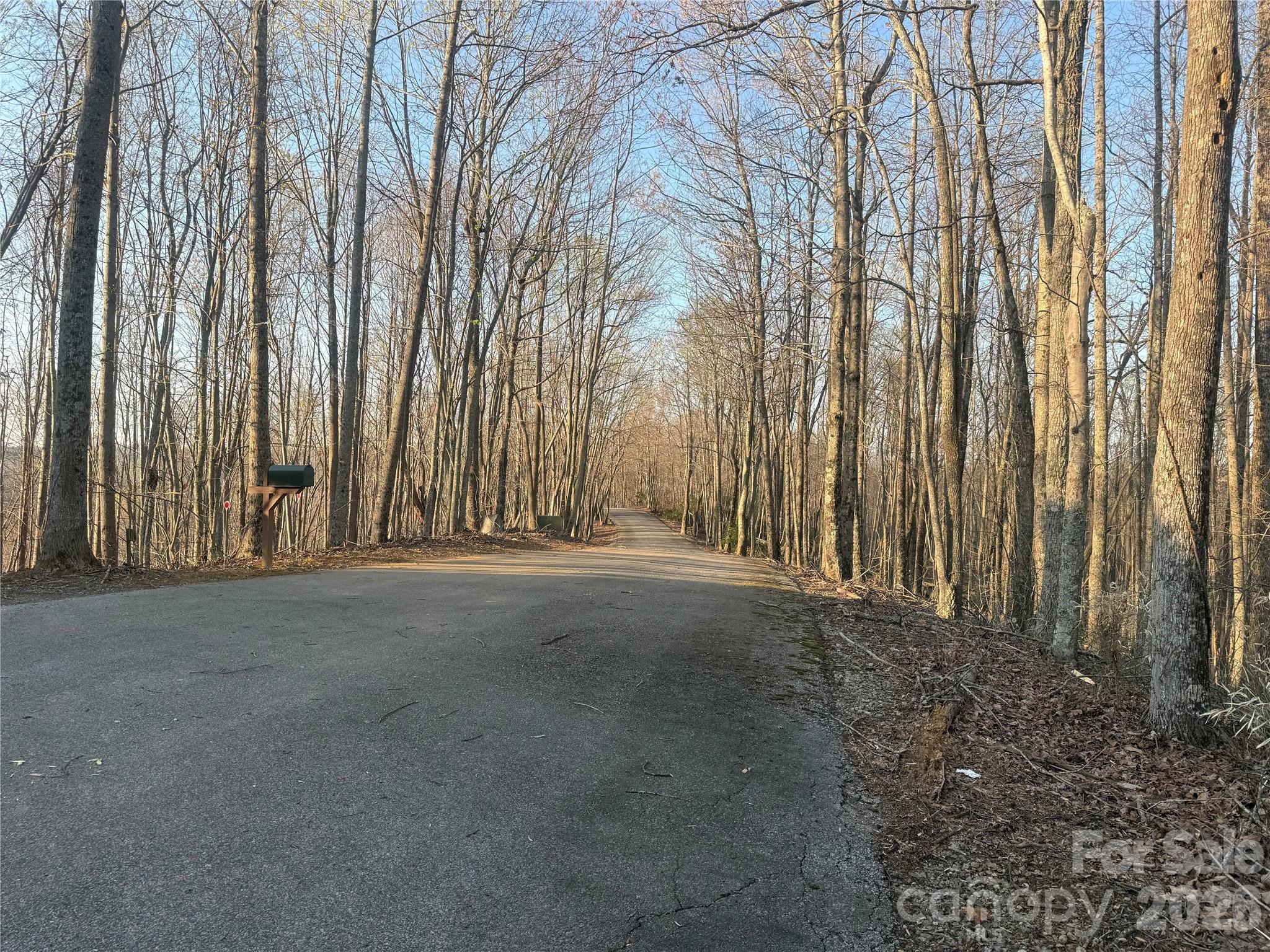476 Double Eagle Drive — Nebo