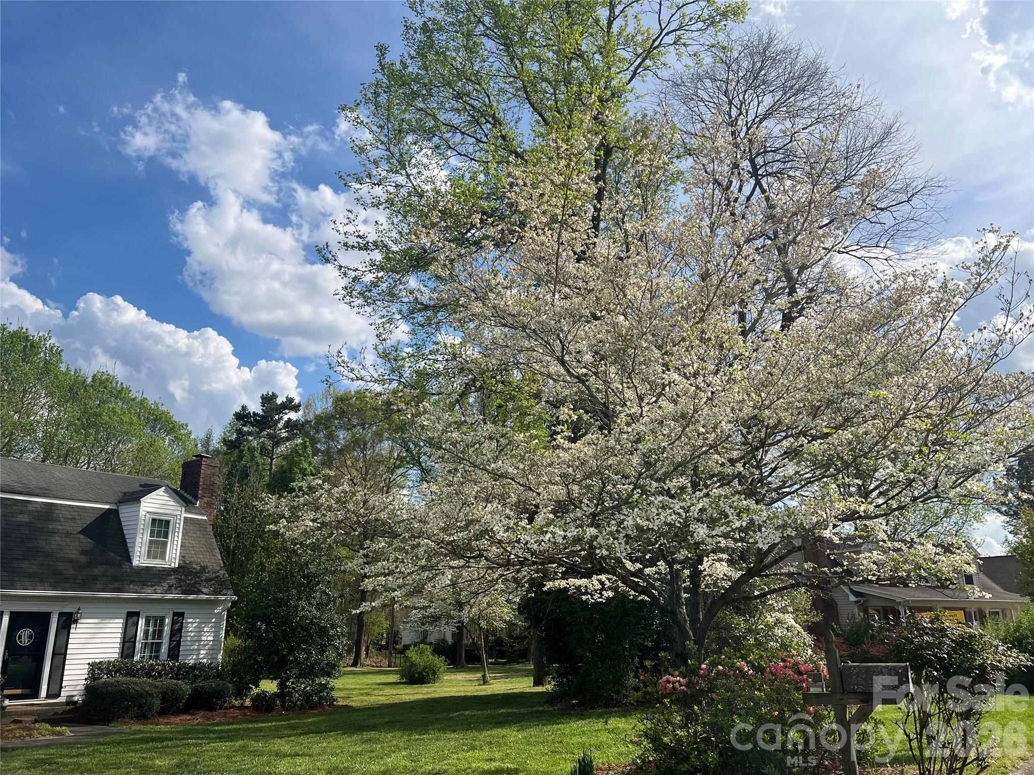 1514 Melchor Road #84 — Albemarle